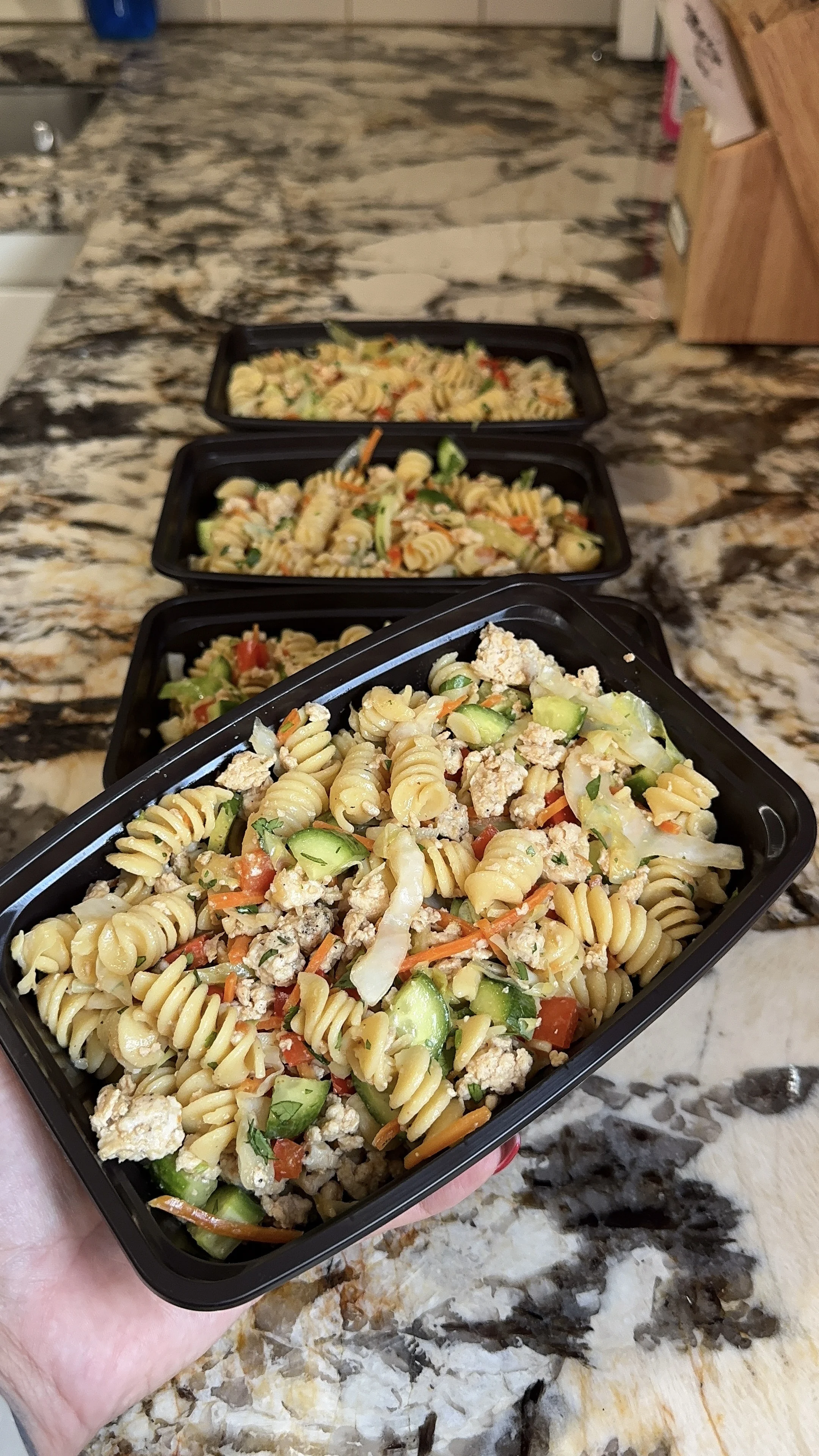spring-roll-protein-pasta