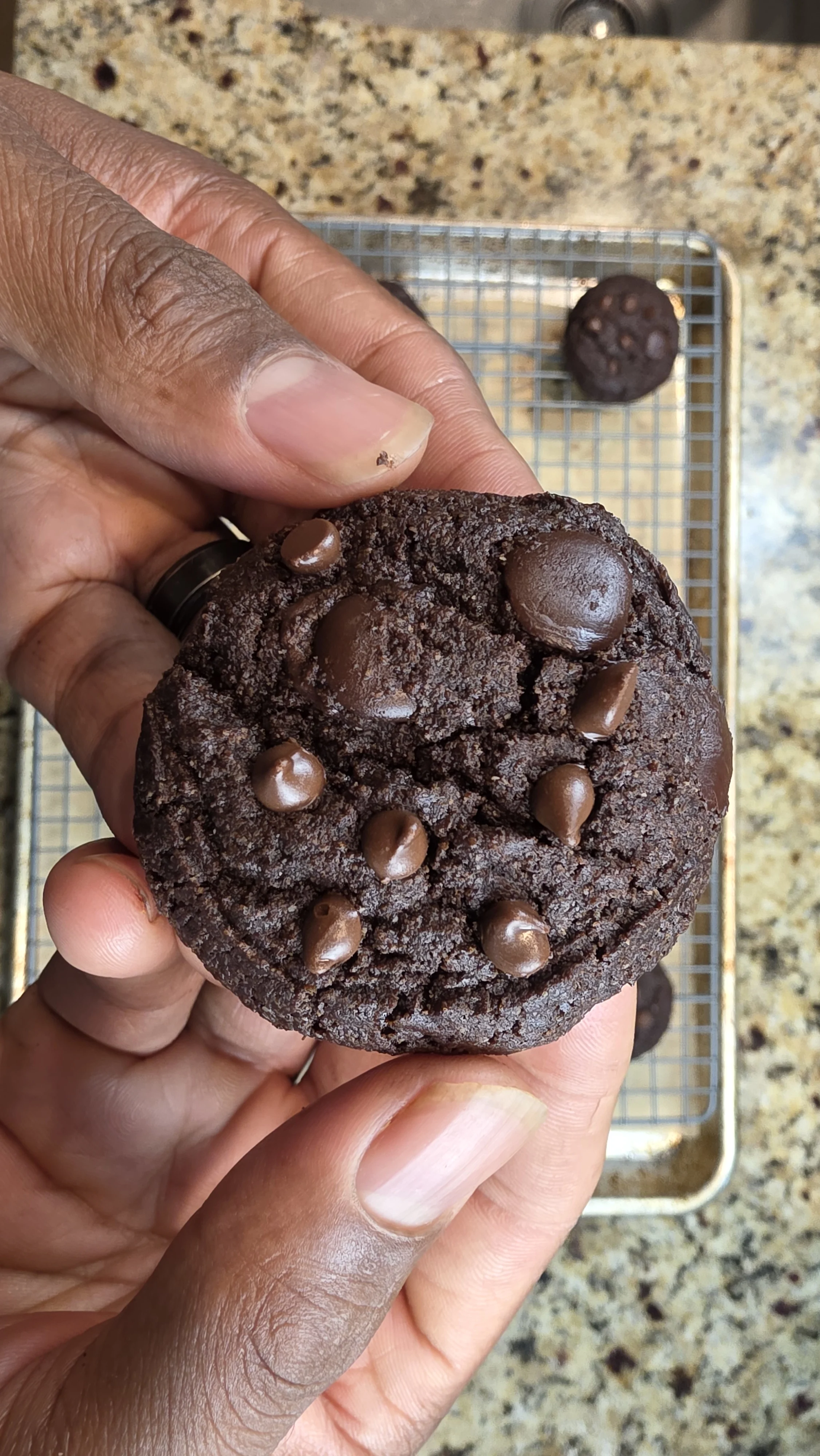gluten-free-double-chocolate-chip-cookies