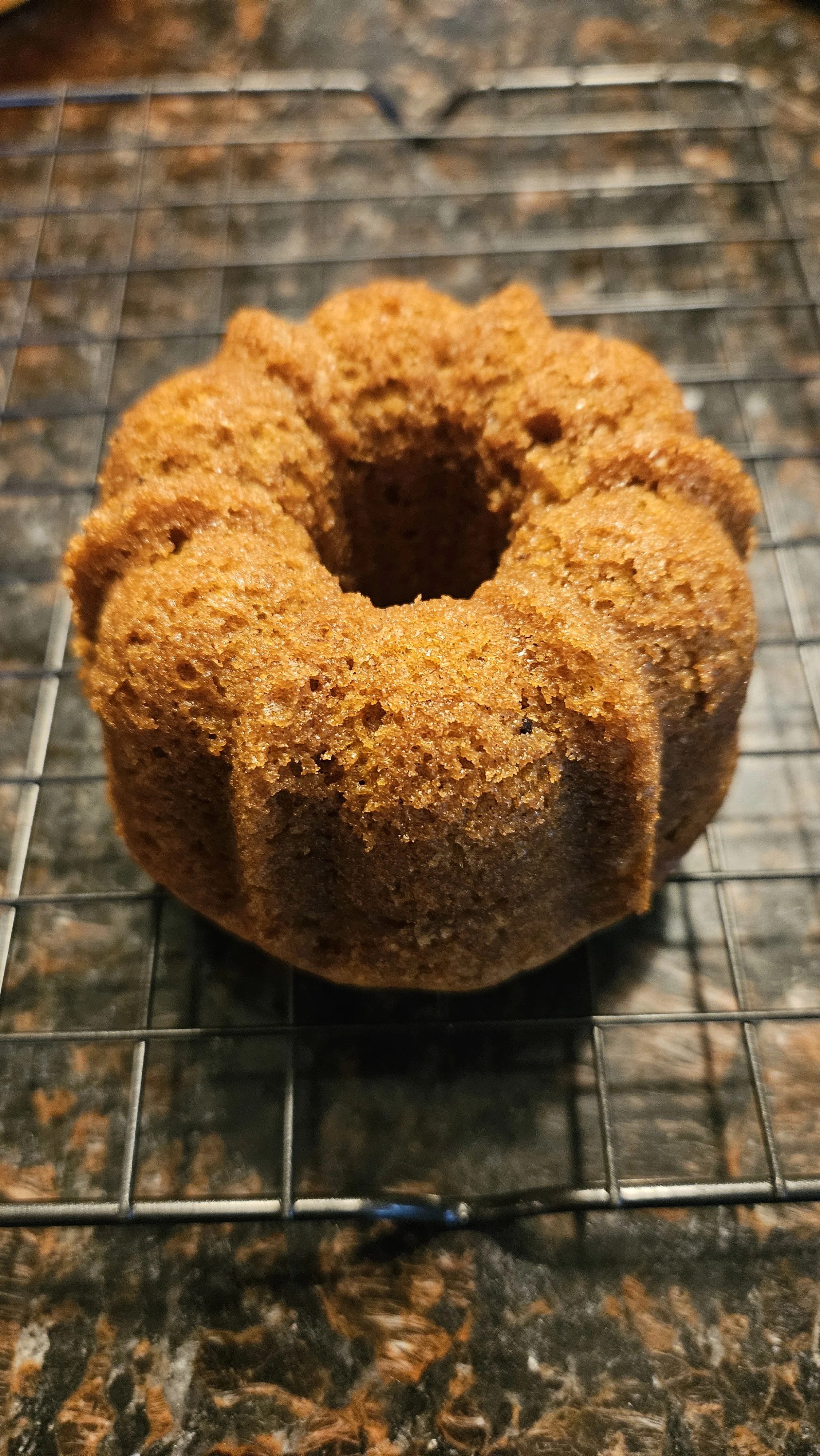 sourdough-pumpkin-bread