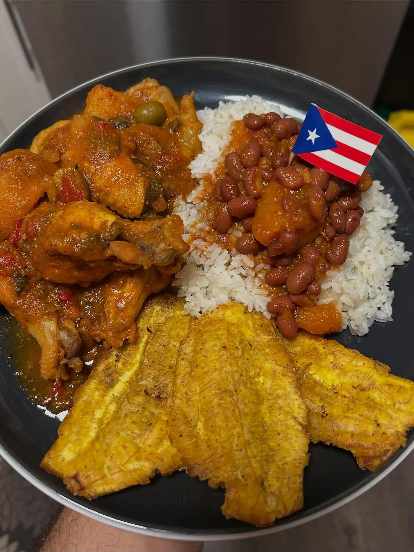 chicken-wings-guisado