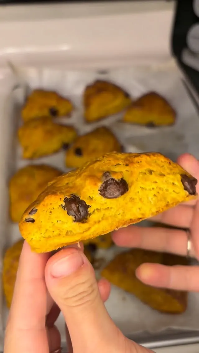 chocolate-chip-pumpkin-scones