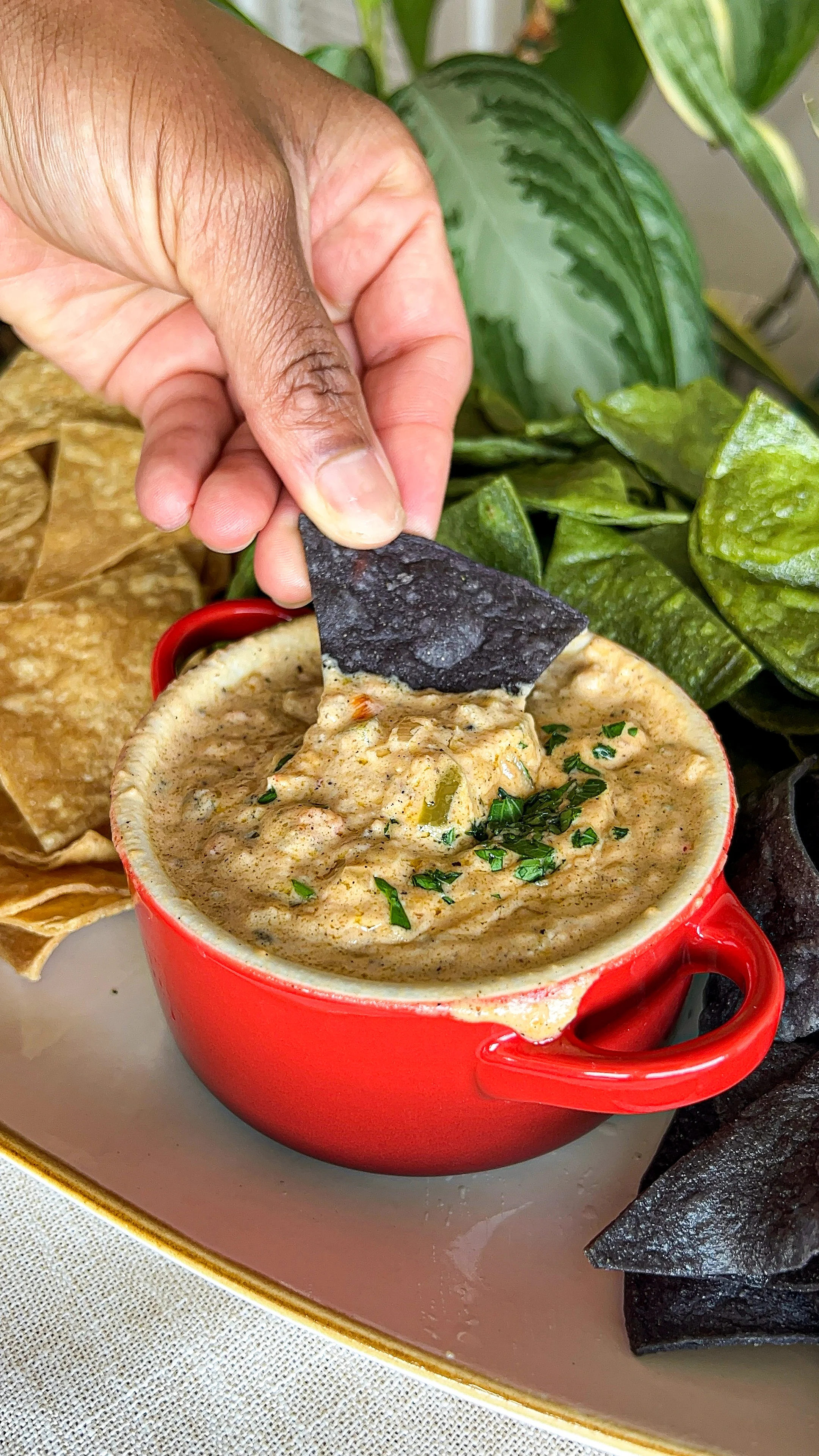 caribbean-inspired-shrimp-queso-dip-the-ultimate-game-day-crowd-pleaser