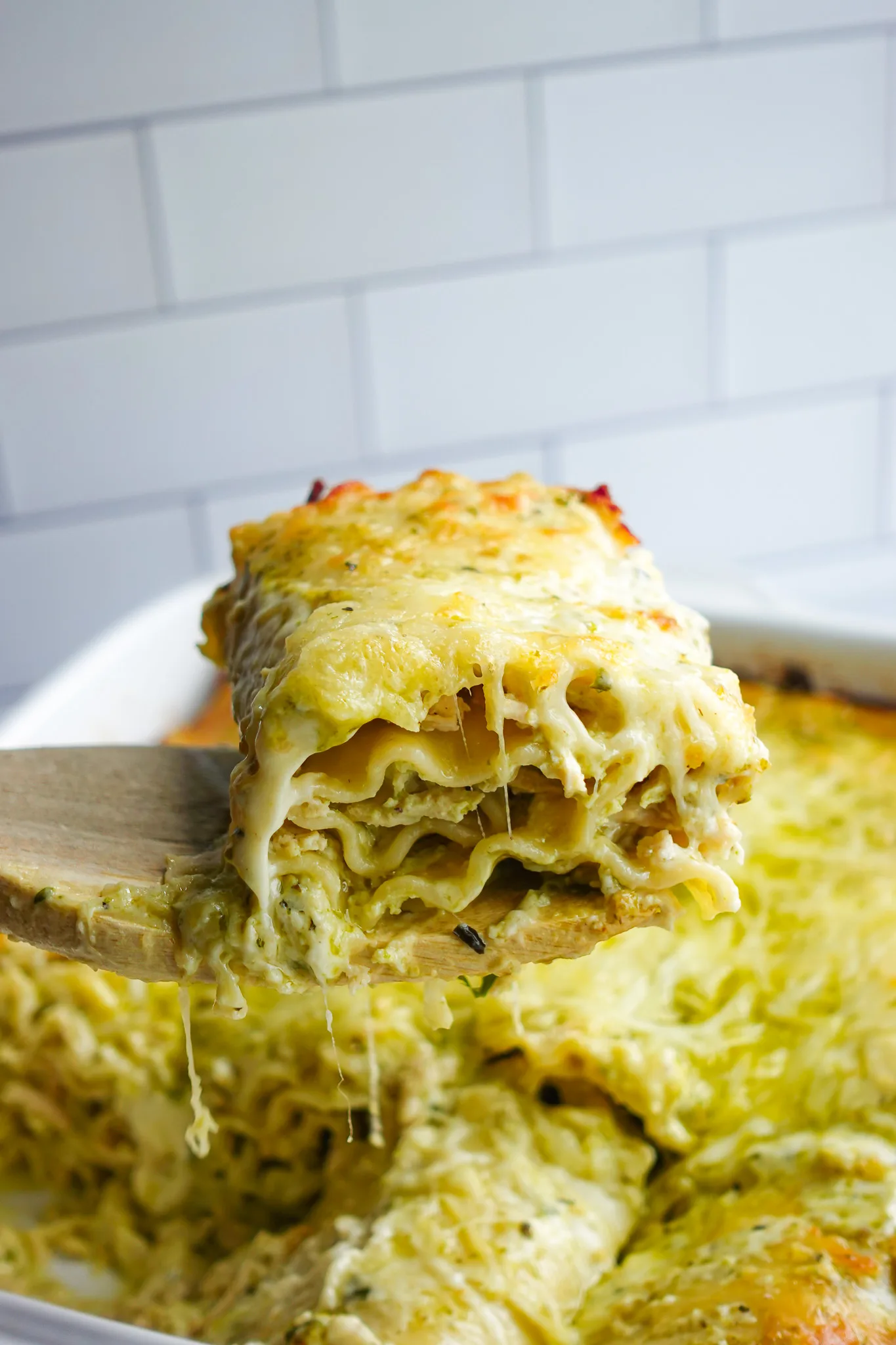 creamy-chicken-pesto-lasagna-roll-ups
