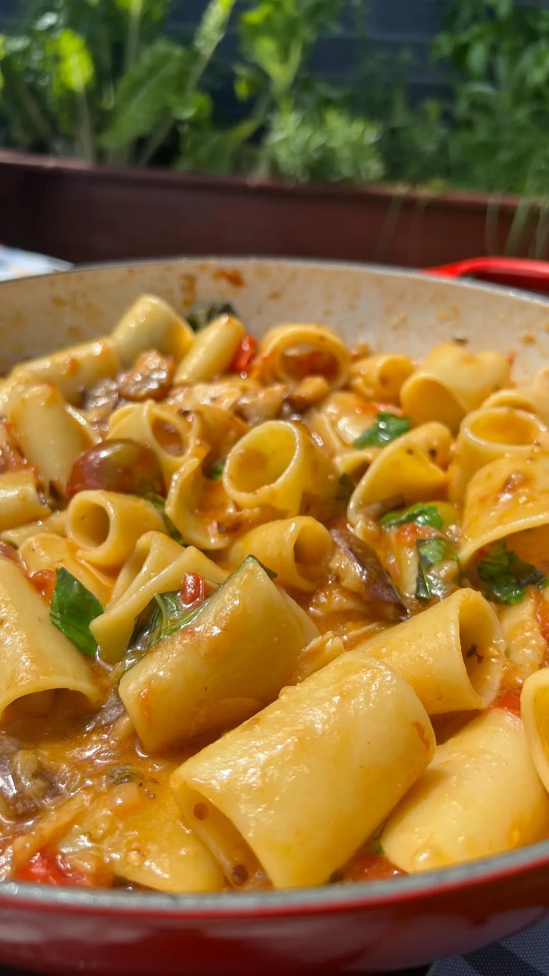 paccheri-alla-norma