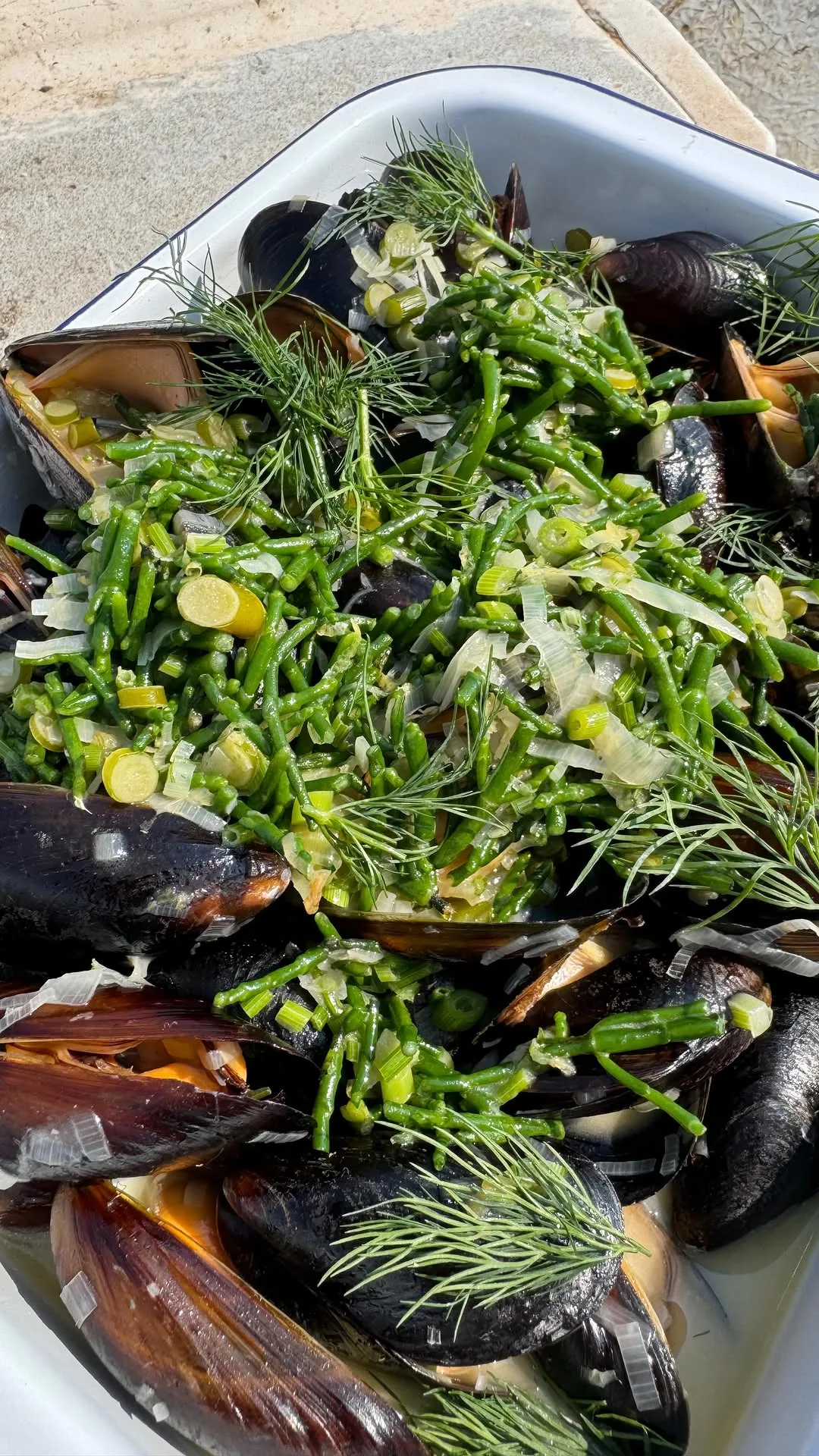 fresh-mussels-straight-out-of-the-sea