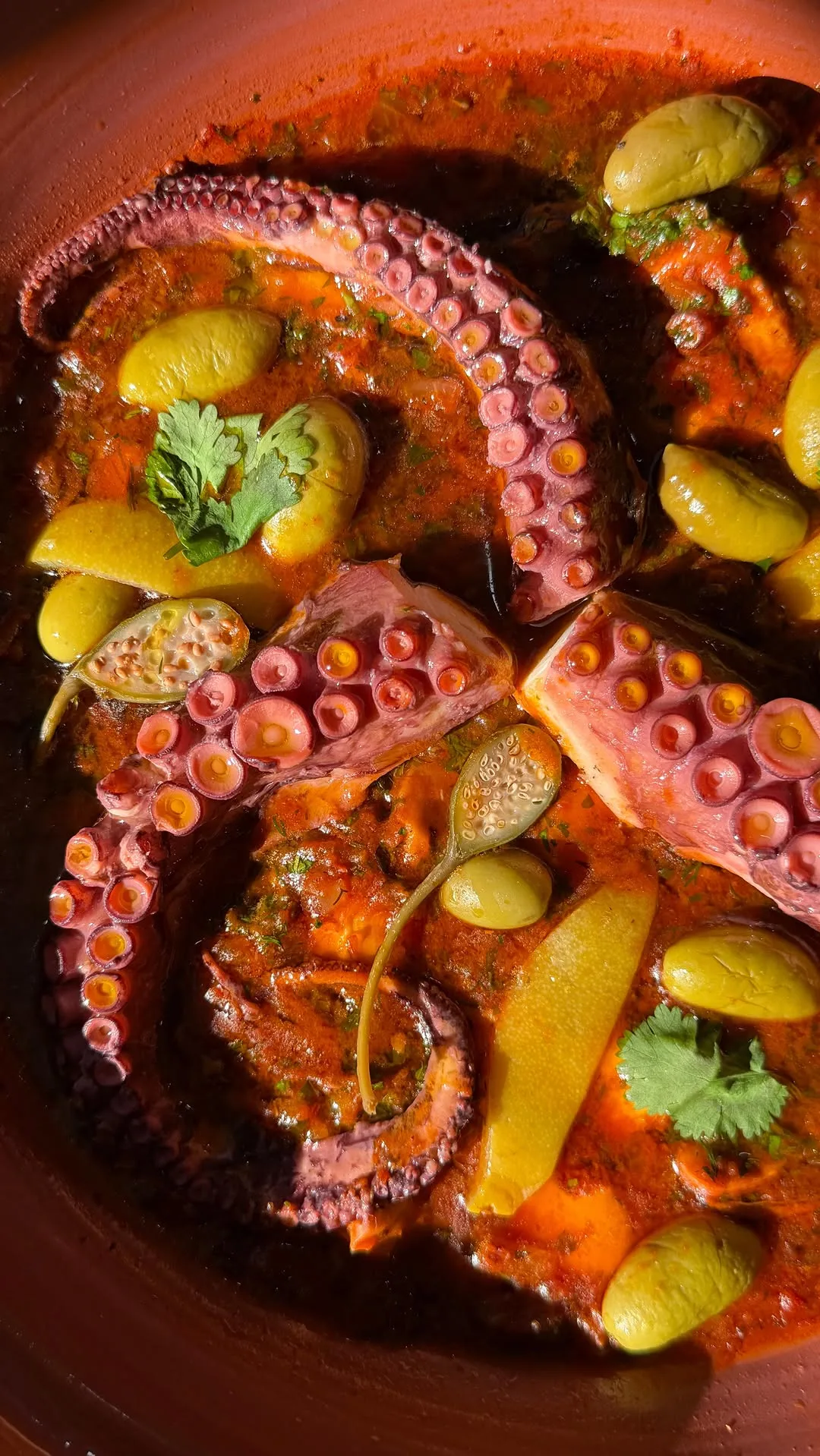 moroccan-style-octopus-tagine