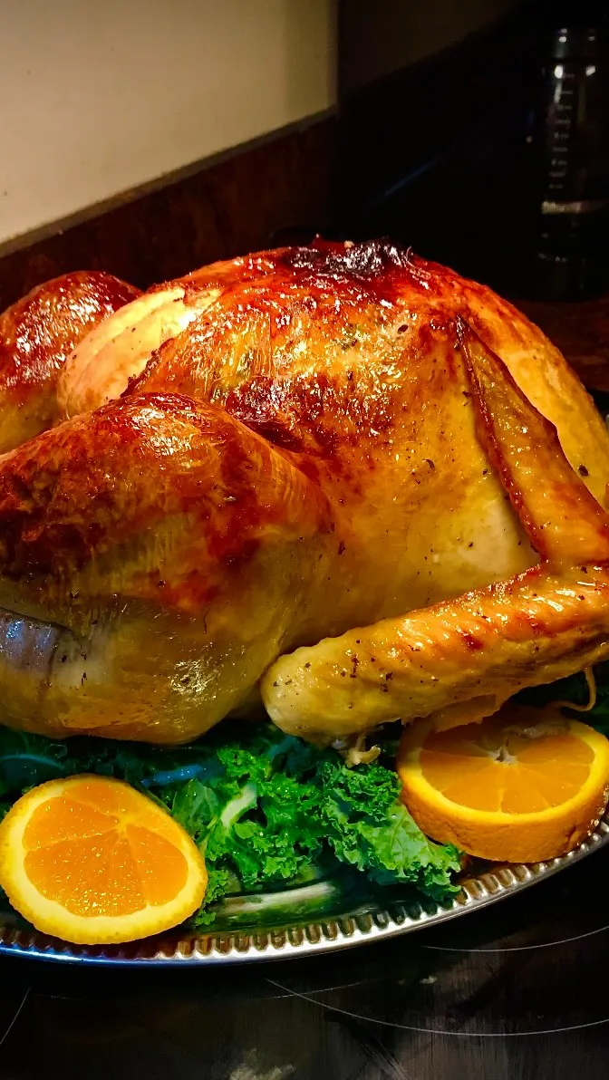 my-go-to-turkey-recipe