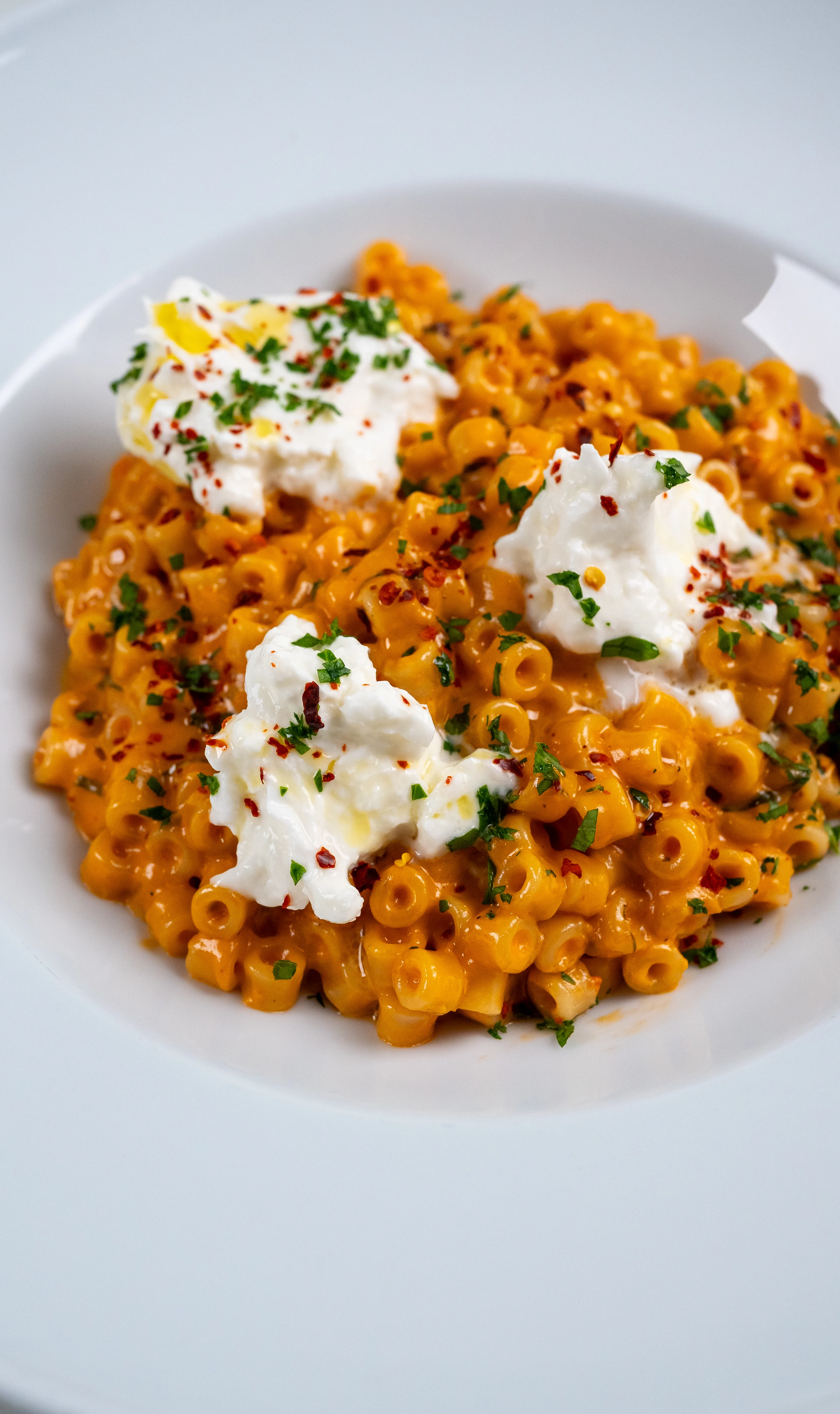 creamy-cherry-tomato-and-burrata-ditalini