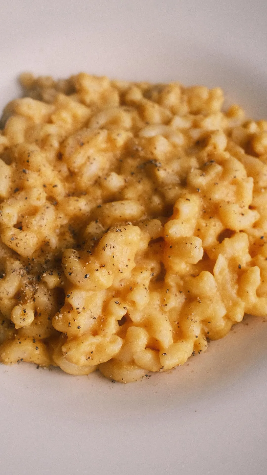mac-n-cheese