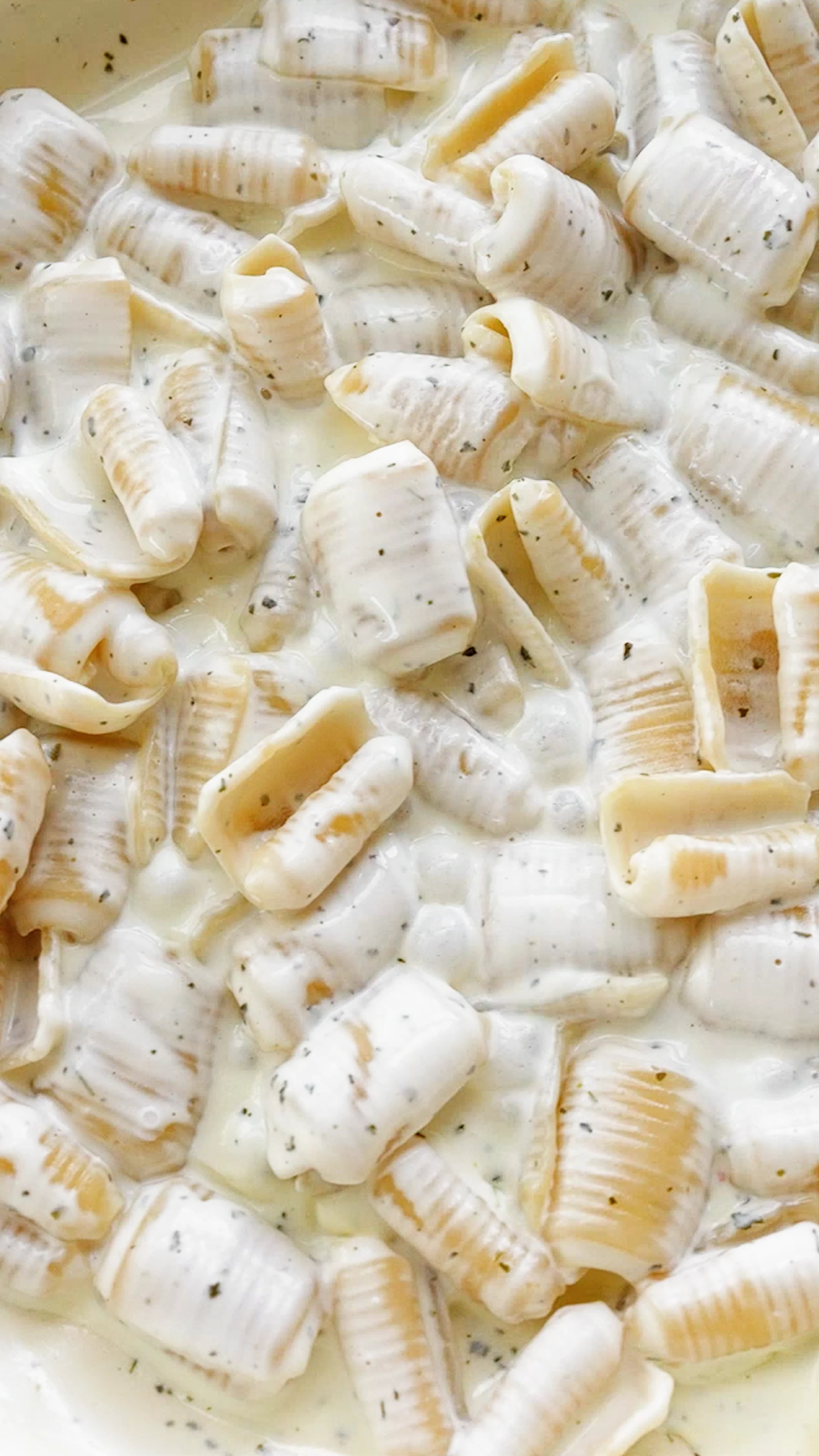 3-ingredient-lazy-girl-black-truffle-pasta