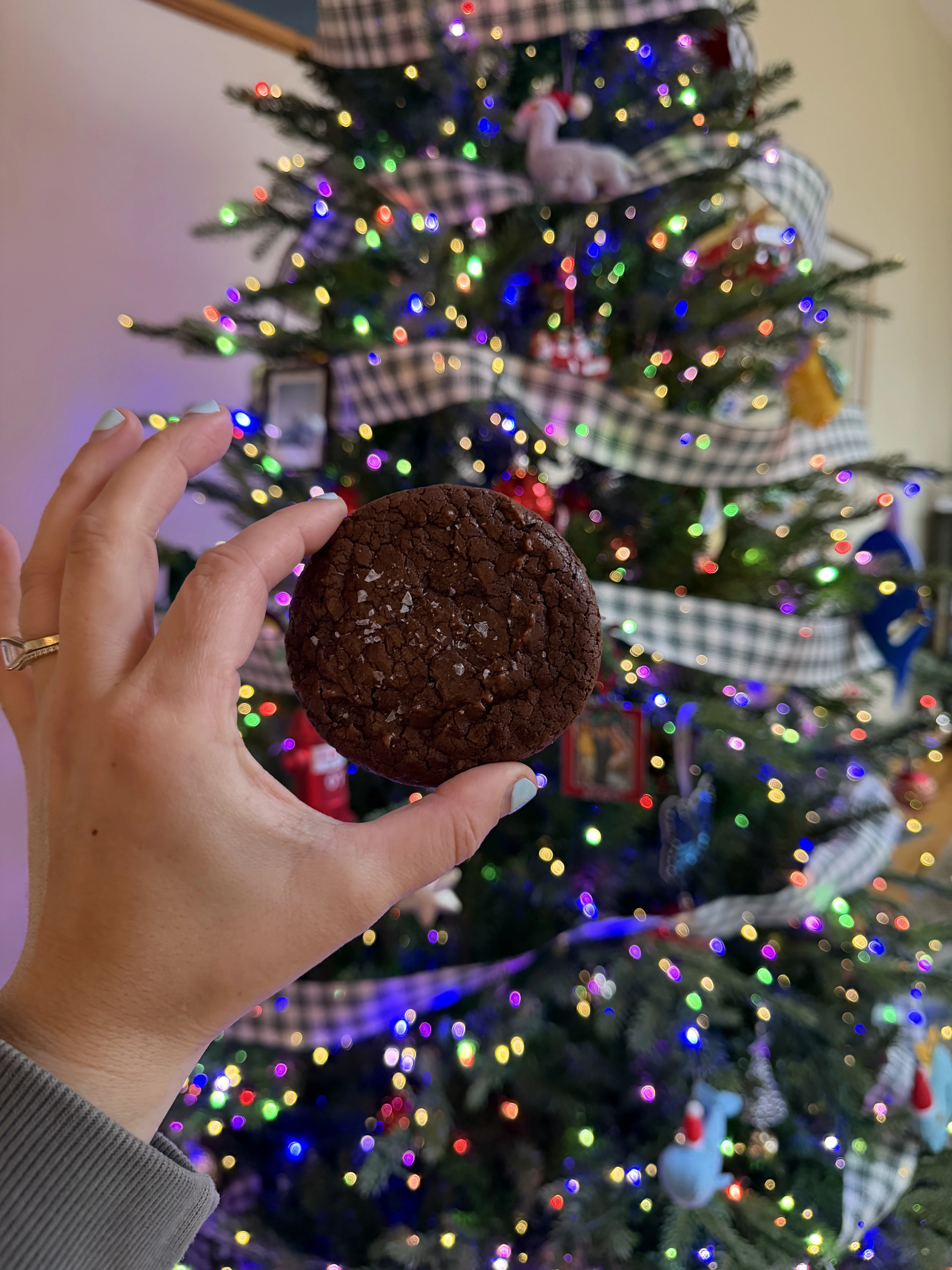 brownie-cookies