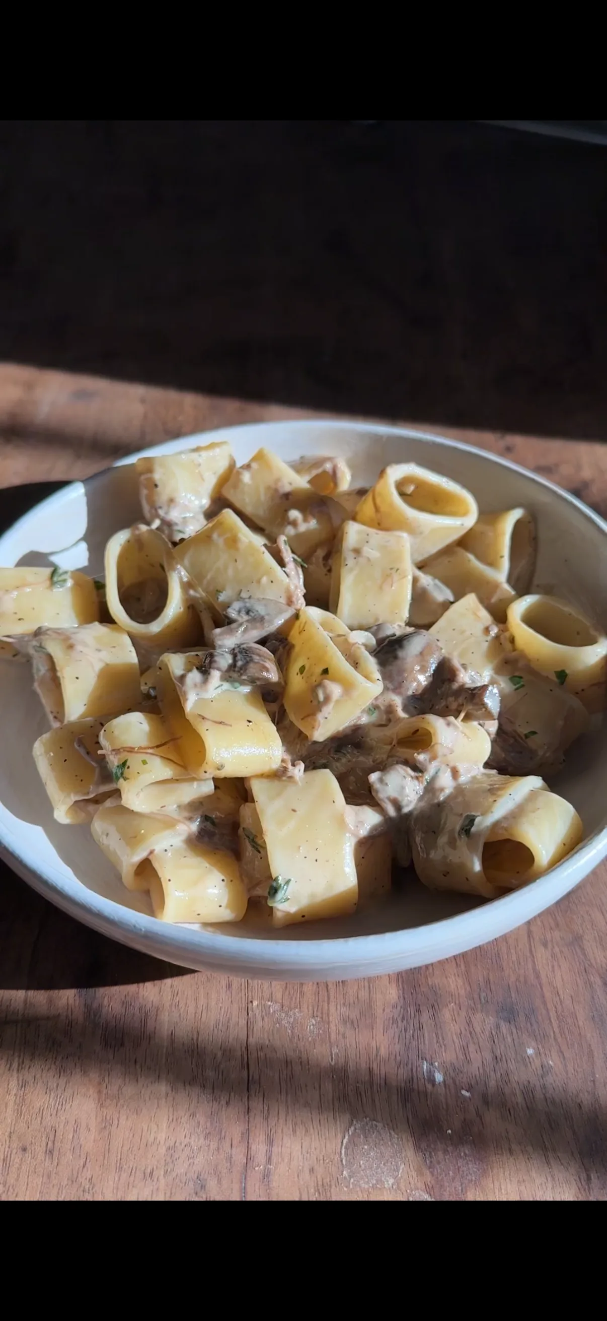 creamy-short-rib-calamarata