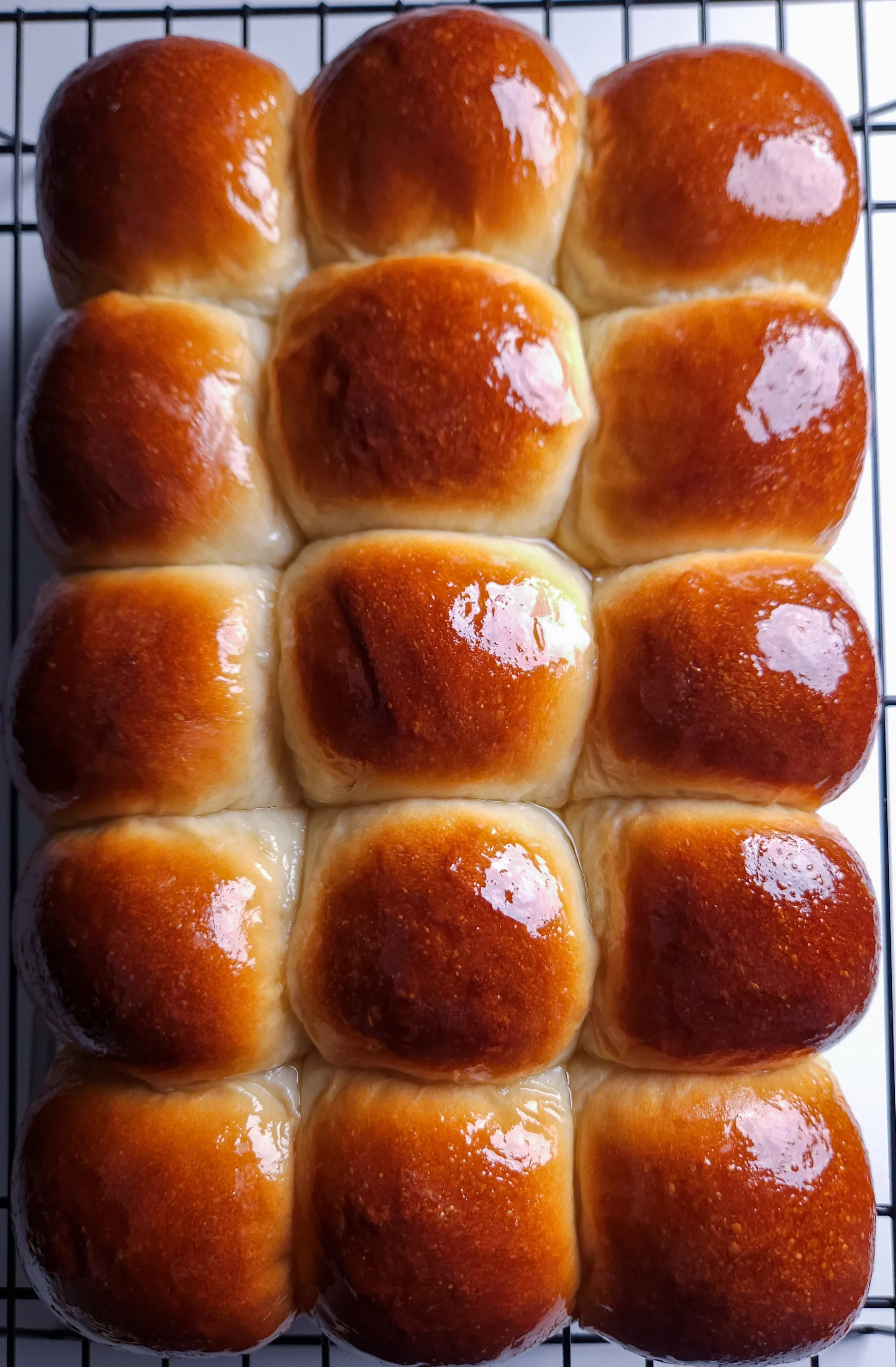 pai-bao