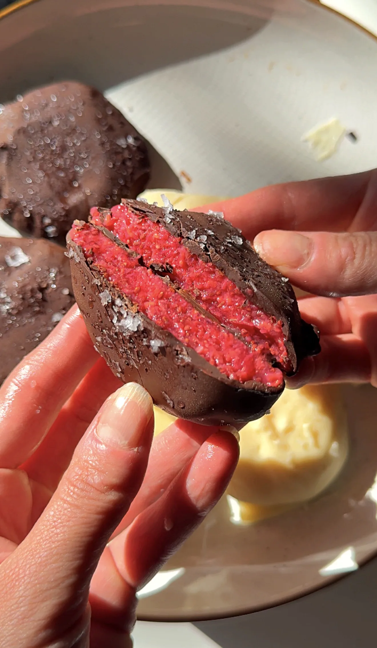 no-bake-raspberry-chia-chocolate-bites