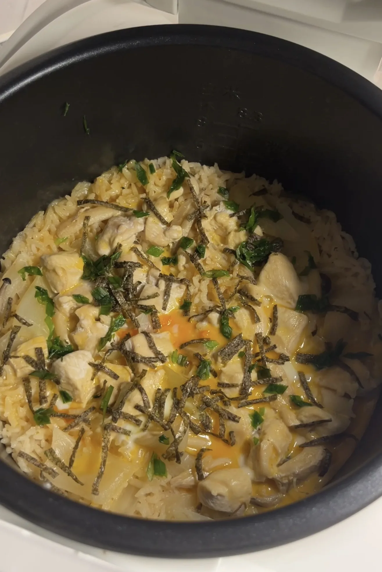 rice-cooker-oyakodon