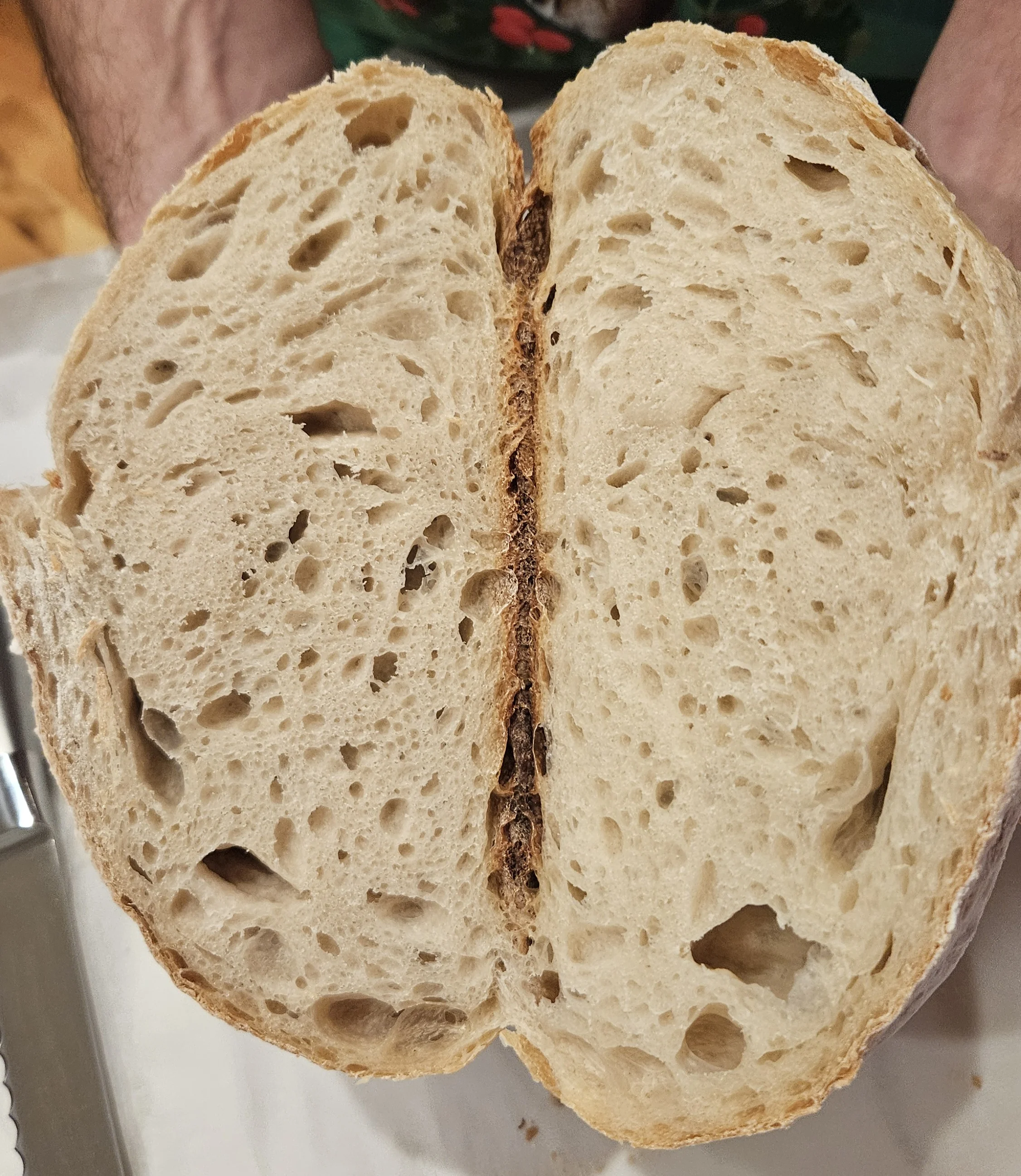 sourdough-bread