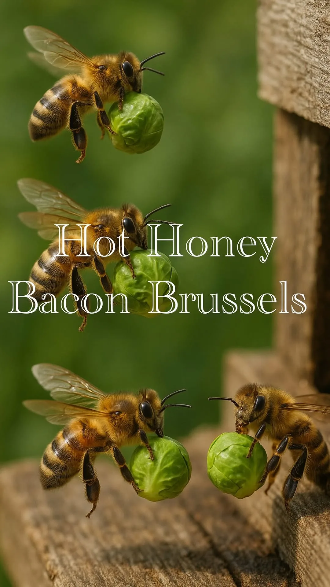 hot-honey-bacon-brussels