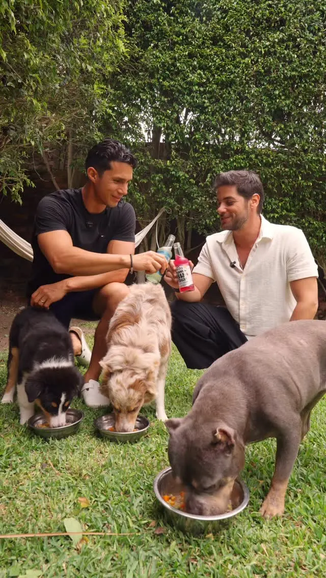 guiso-casero-"power"-para-perros-homemade-"power"-stew-for-dogs