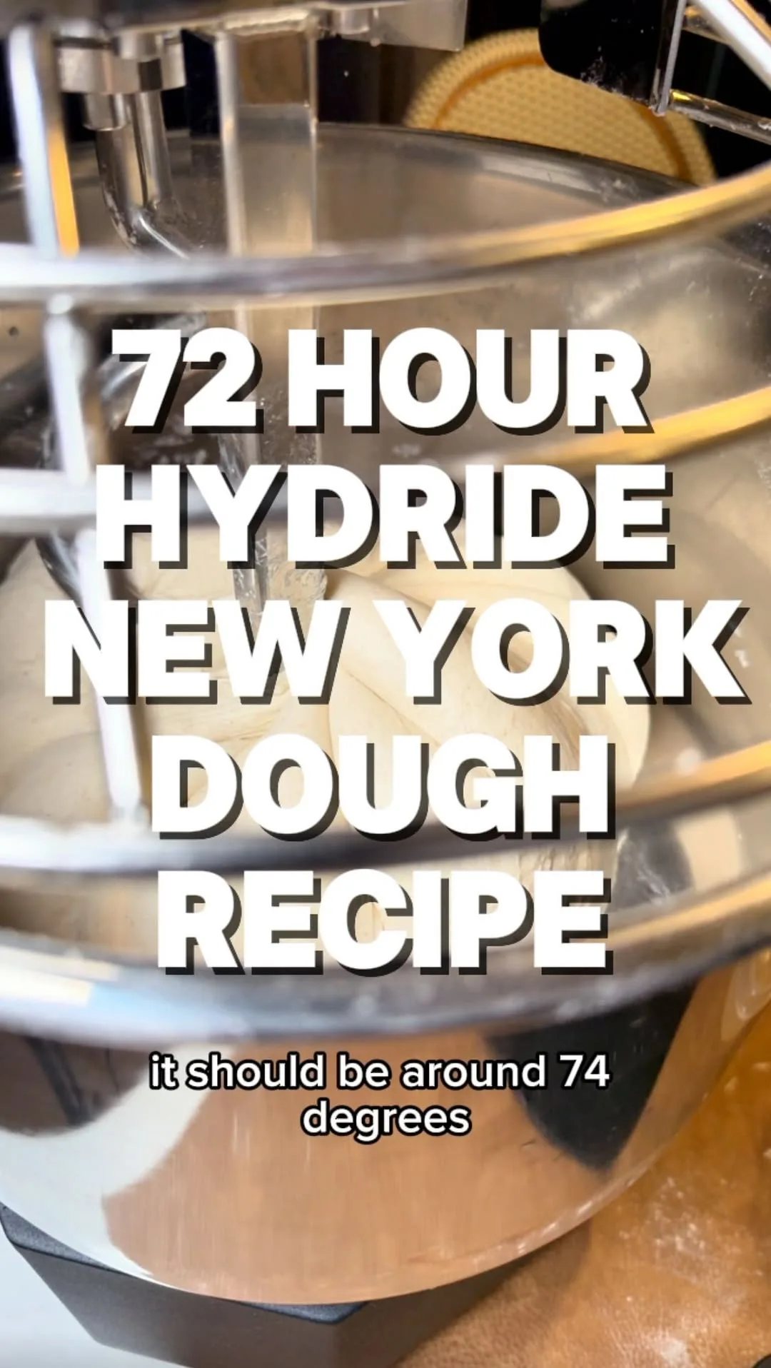 hybrid-sourdough-poolish-pizza-dough-(72-hour-cold-ferment)