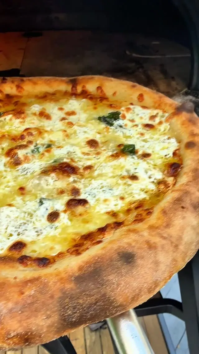 lemon-zest-cheese-basil-pizza-on-sourdough