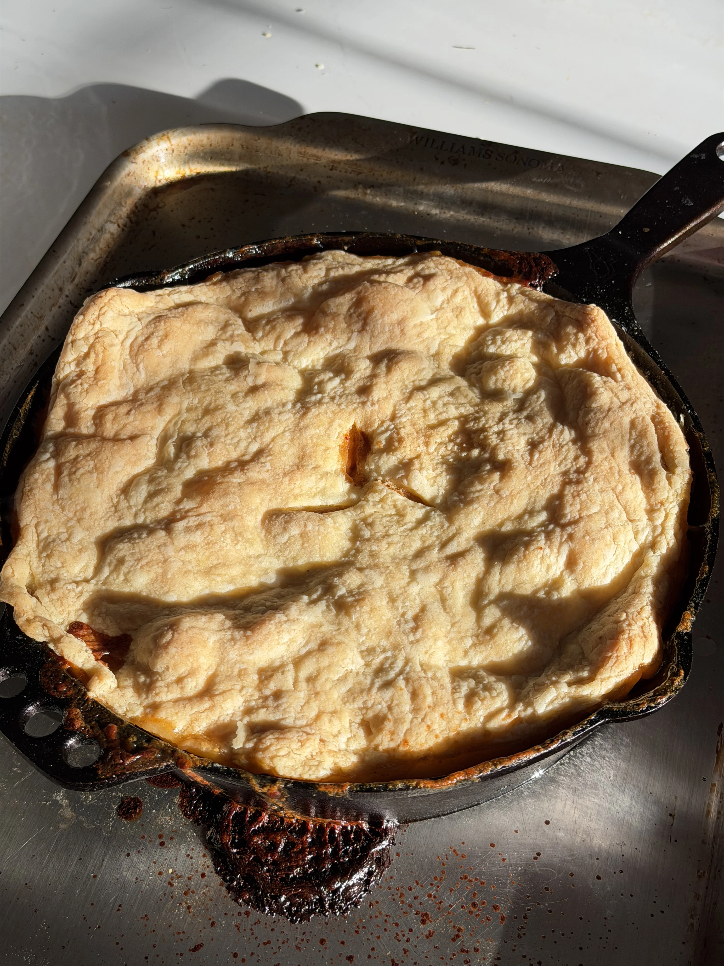 caramelized-onion-pot-pie