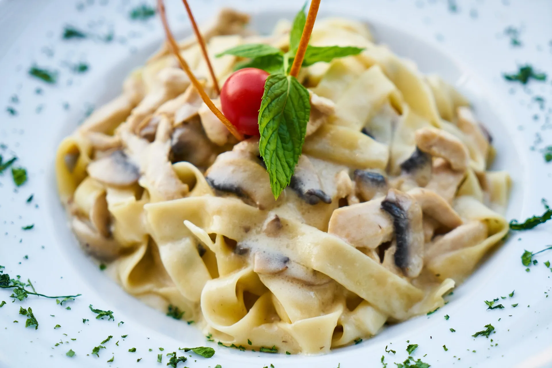 pates-proteine-en-5-ingredients
