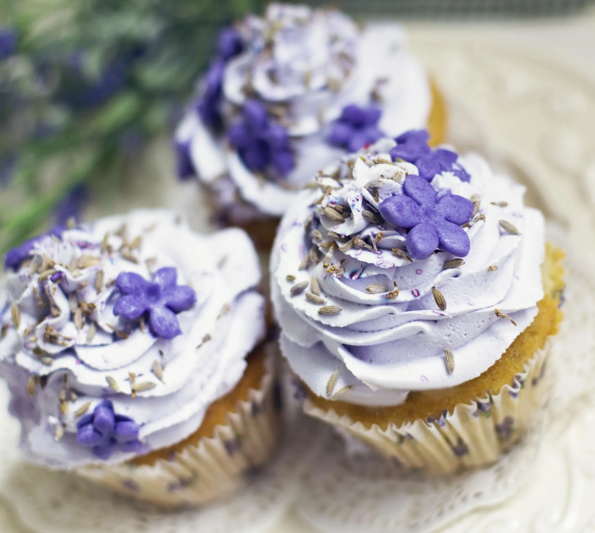 lavender-cupcakes