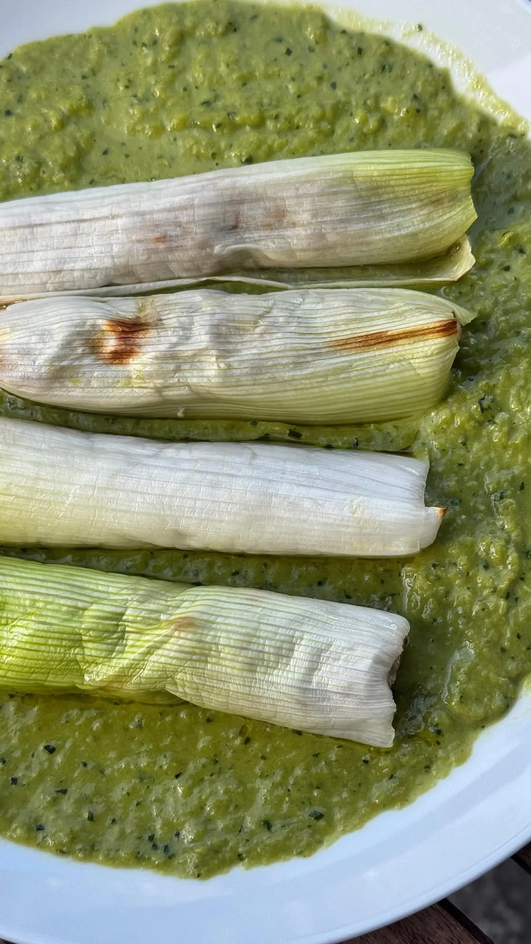 sausage-stuffed-leeks-with-leek-top-basil-sauce