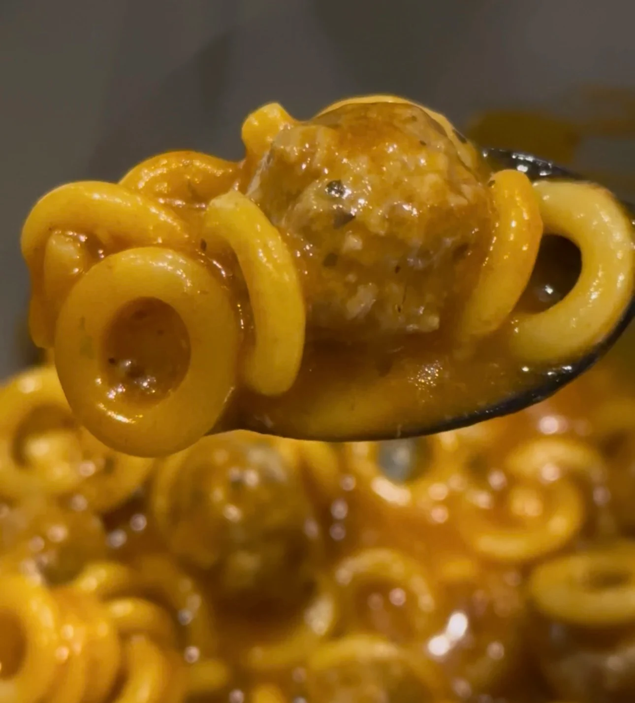 homemade-spaghettios