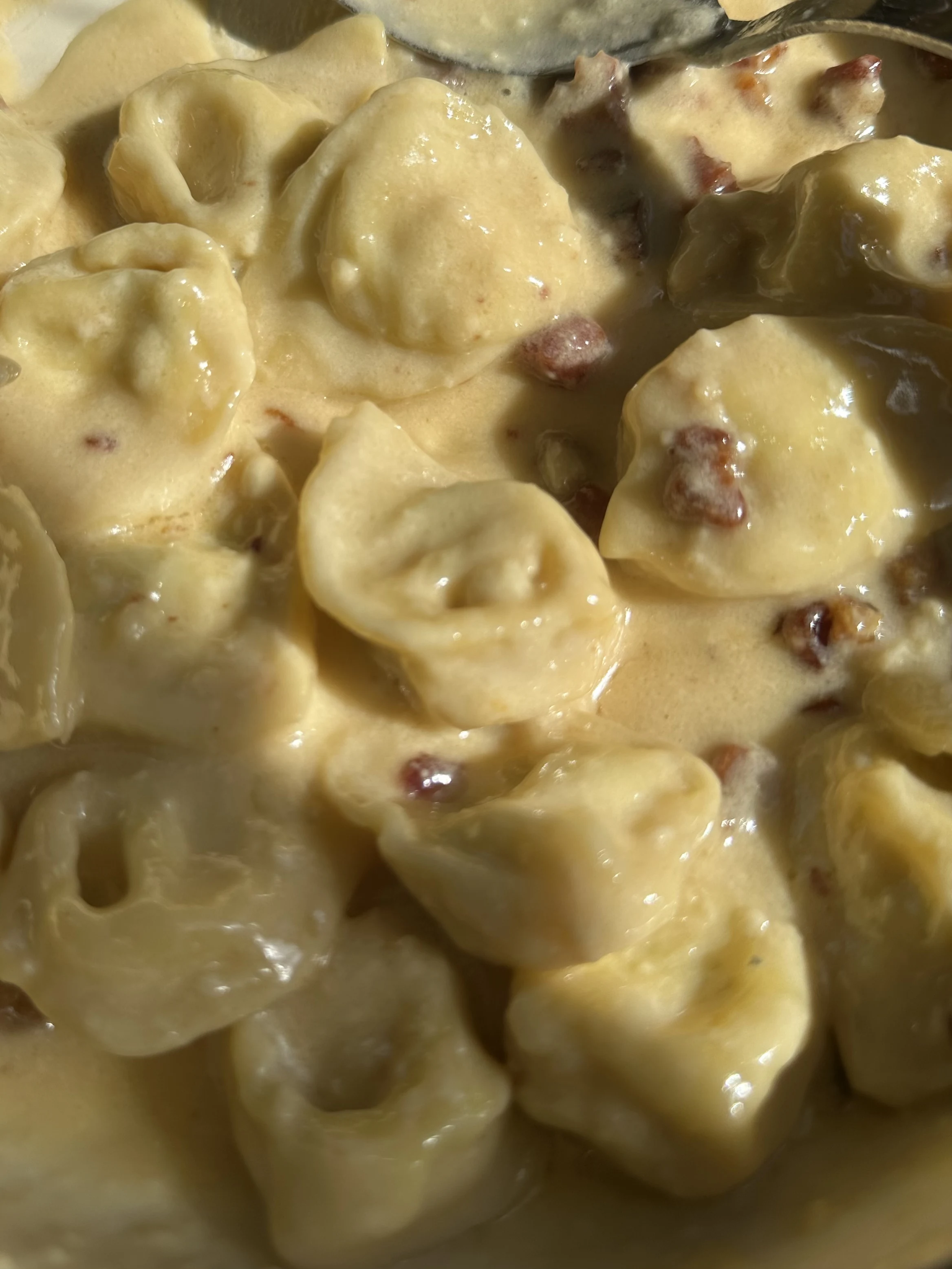 cheesy-tortellini-with-crispy-pancetta
