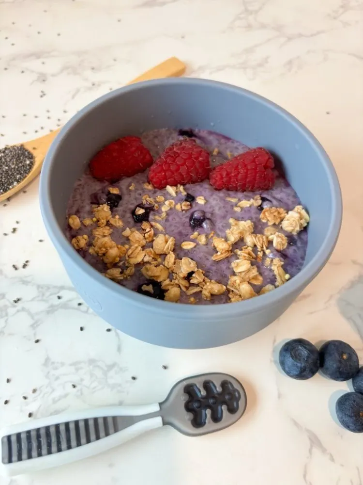 blueberry-chia-pudding-with-coconut-milk-for-babies-and-toddlers