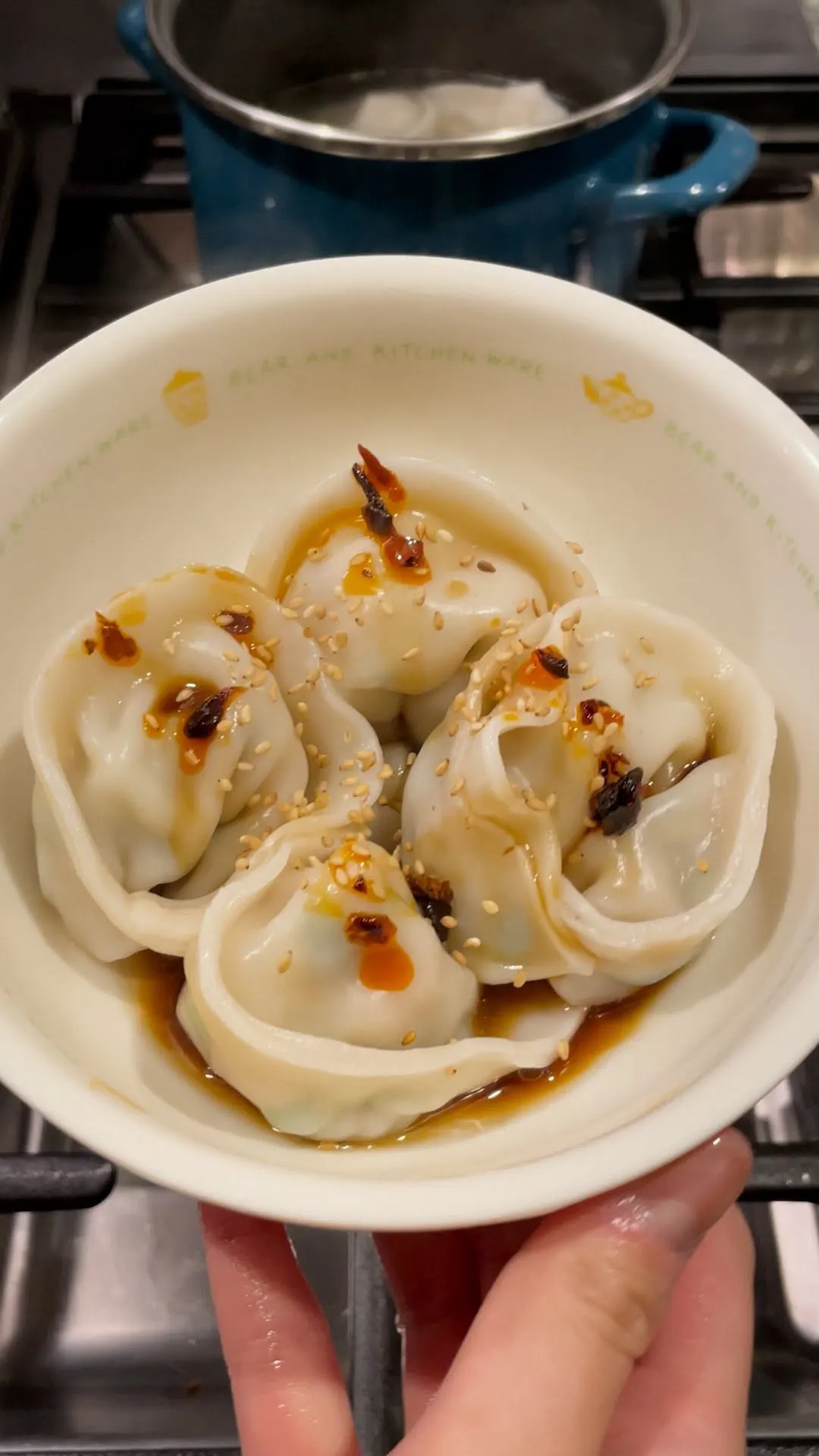 chicken-ginger-dumplings