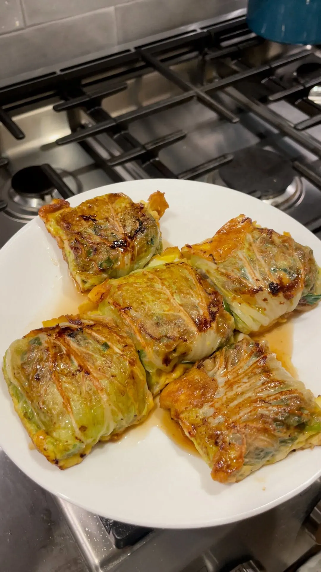beef-cabbage-dumplings