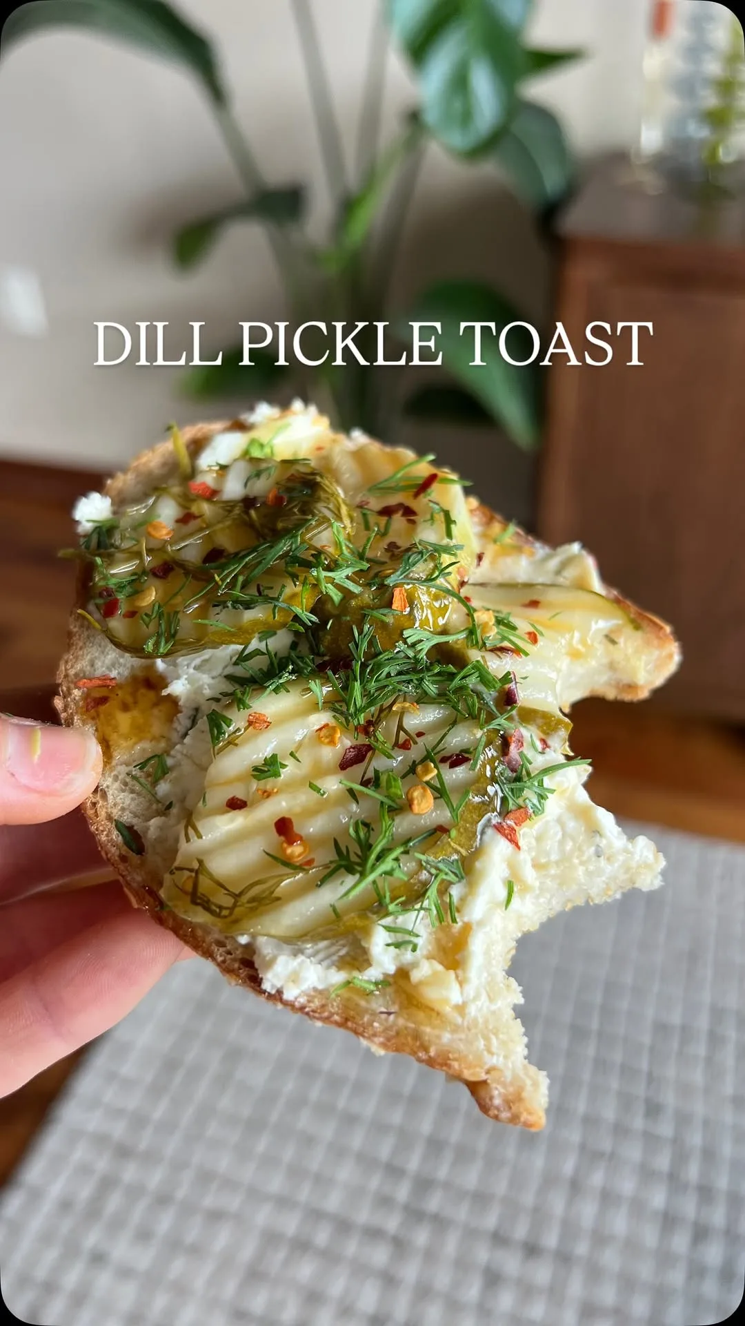 dill-pickle-toast-for-the-gurlzzzz