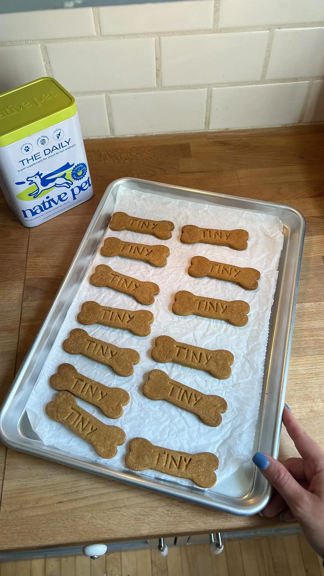 homemade-dog-treats
