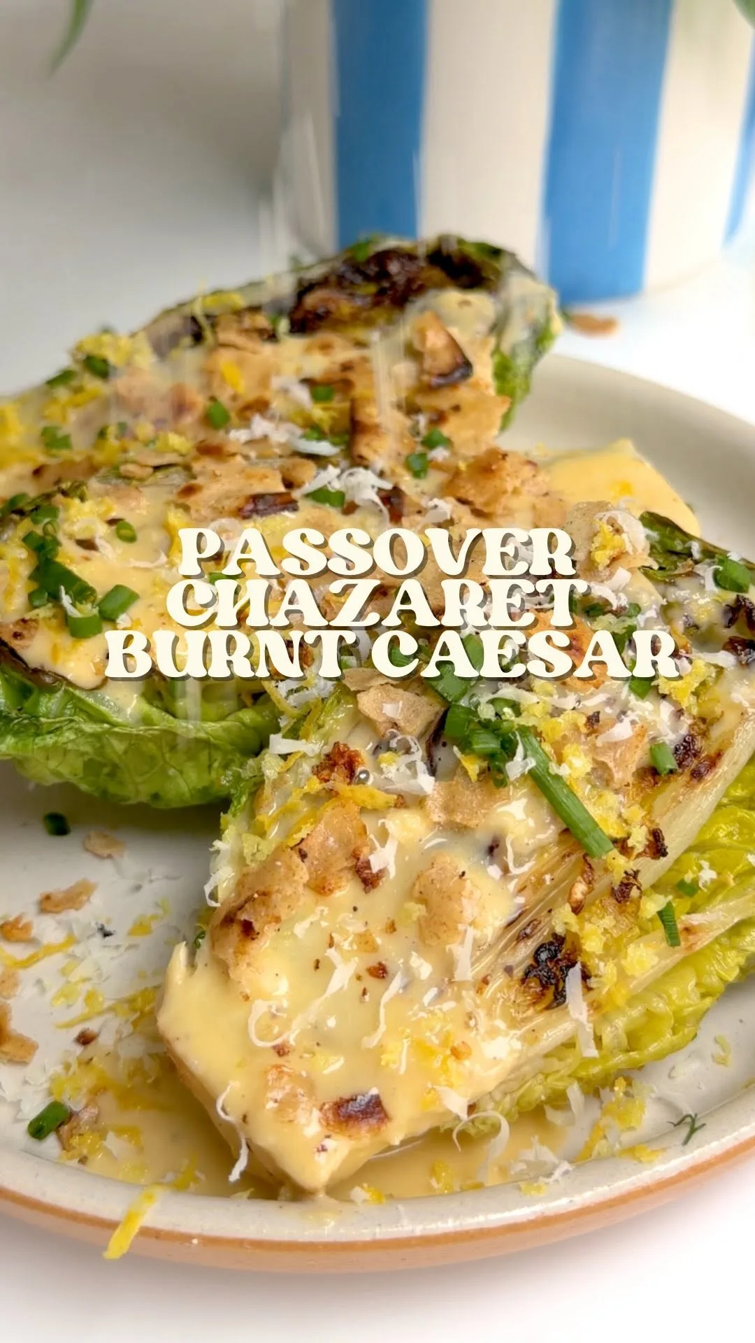 burnt-caesar-salad-with-matzah-pangrattato