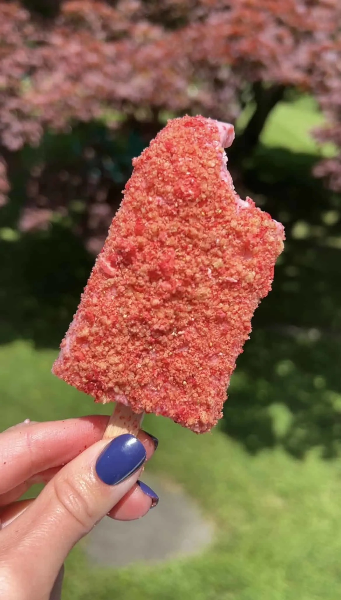 strawberry-shortcake-popsicles