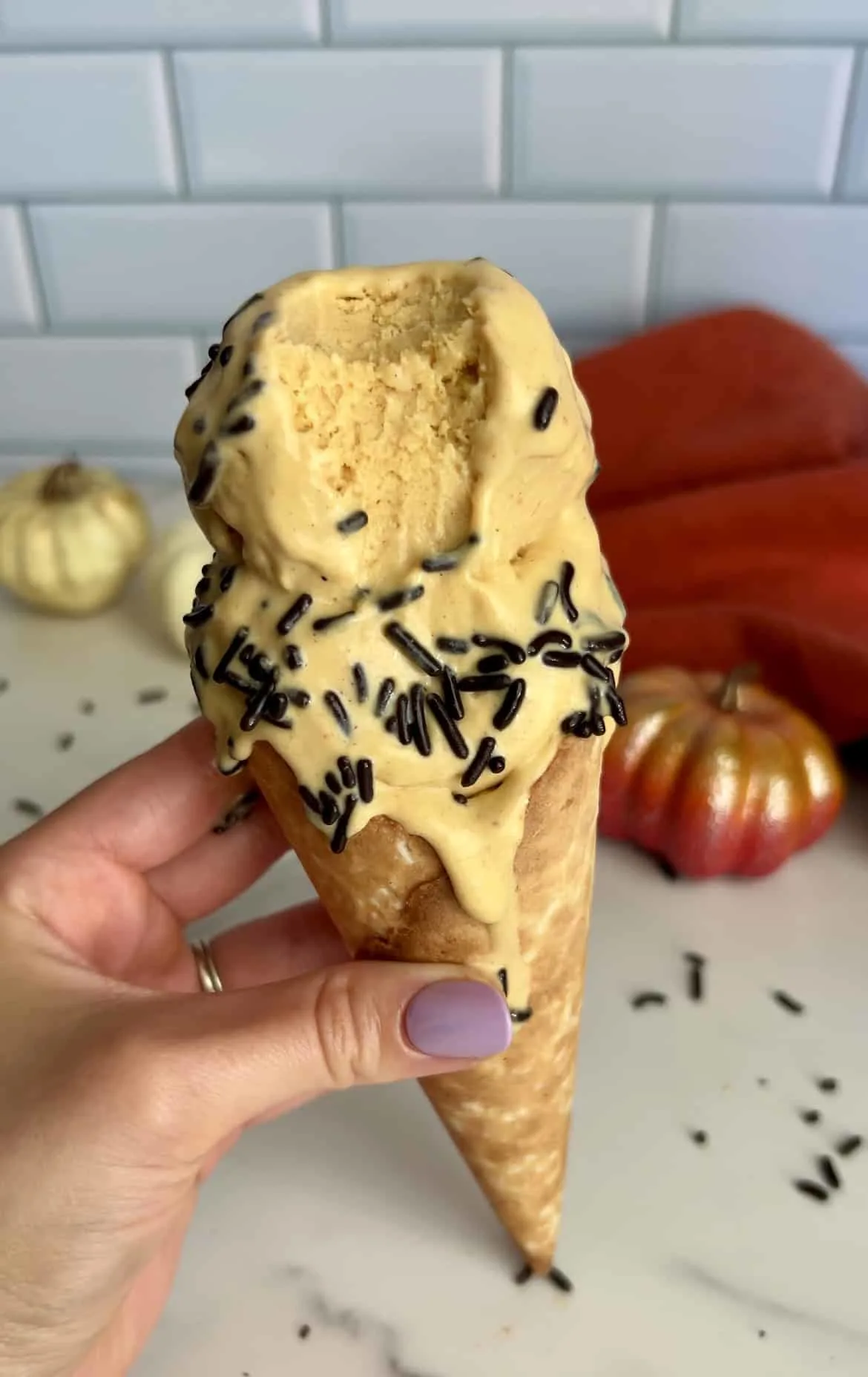 healthy-pumpkin-ice-cream