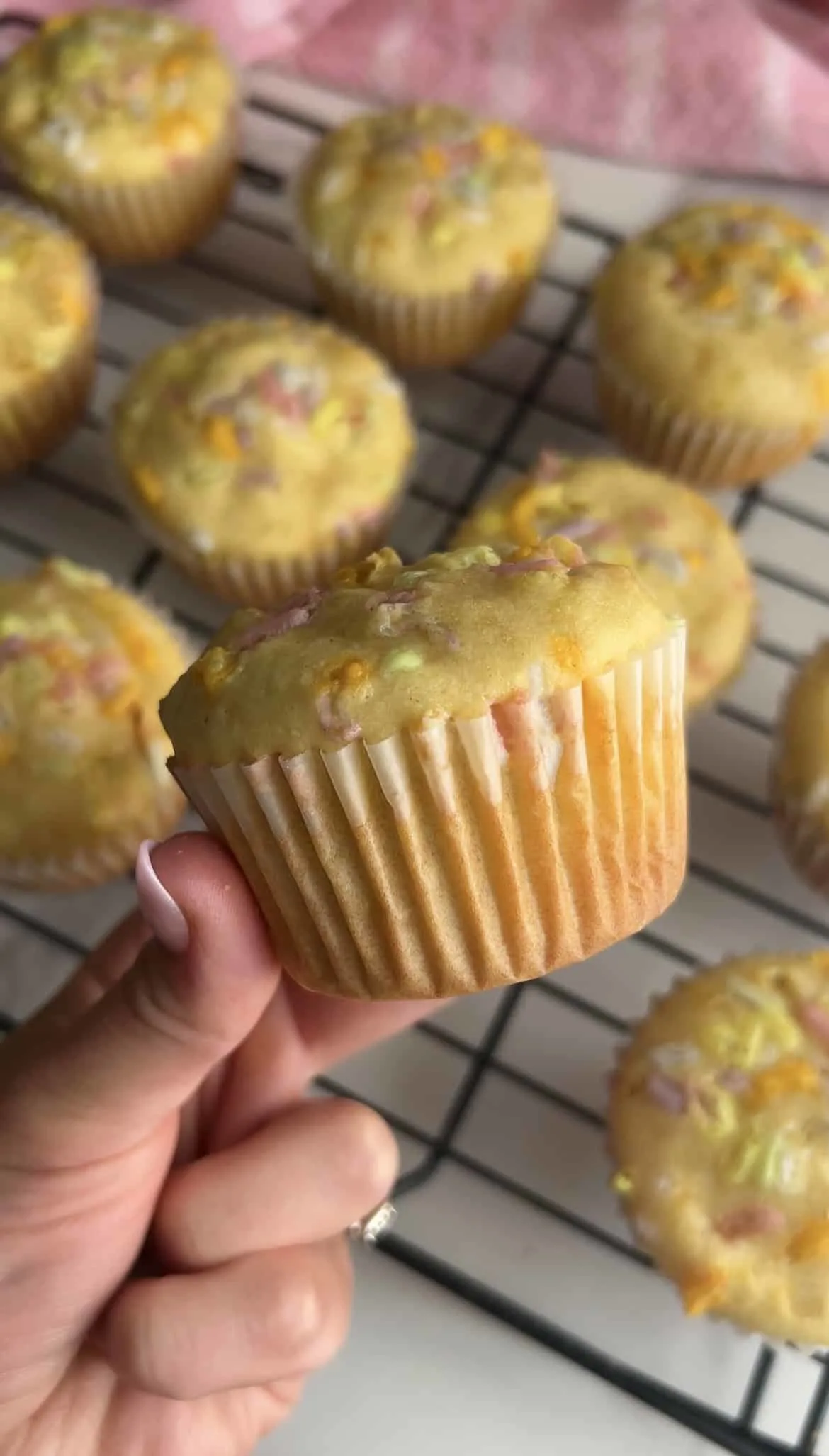 funfetti-protein-muffins