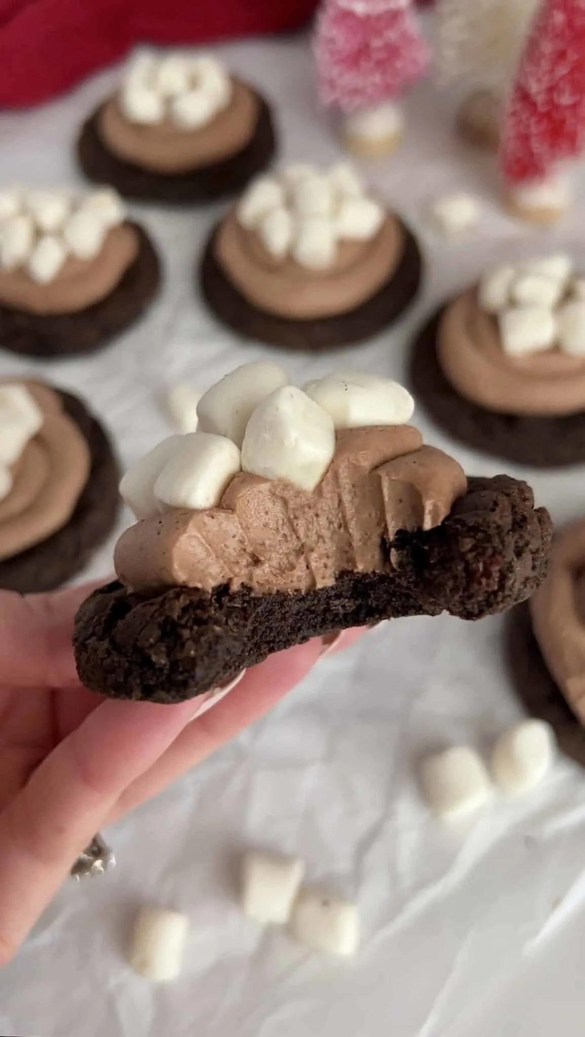 hot-cocoa-frosted-cookies