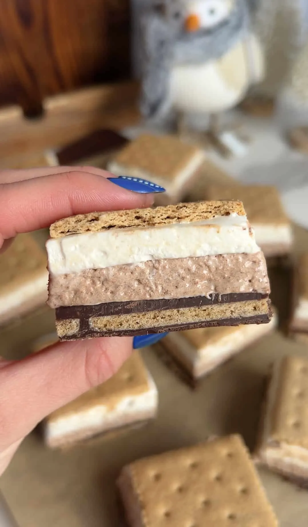 hot-cocoa-frozen-s'mores