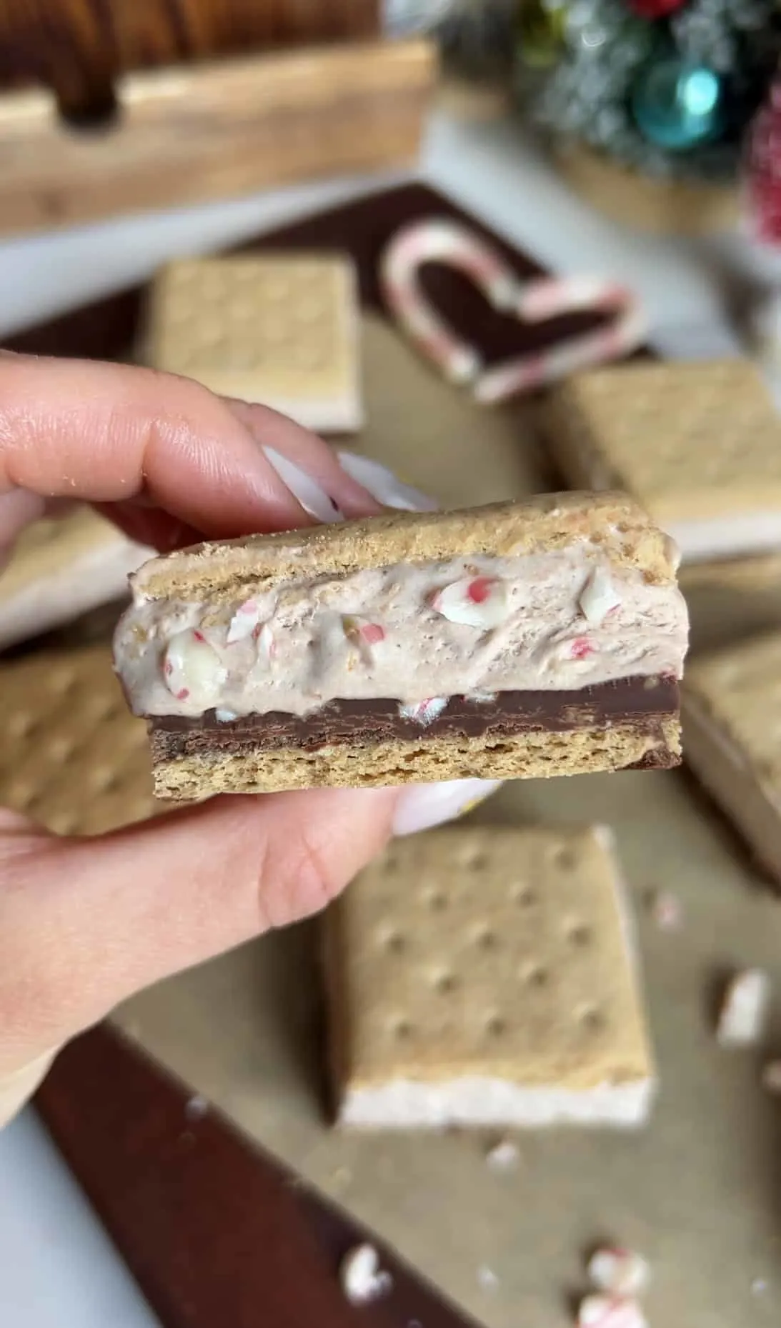 chocolate-peppermint-frozen-s'mores