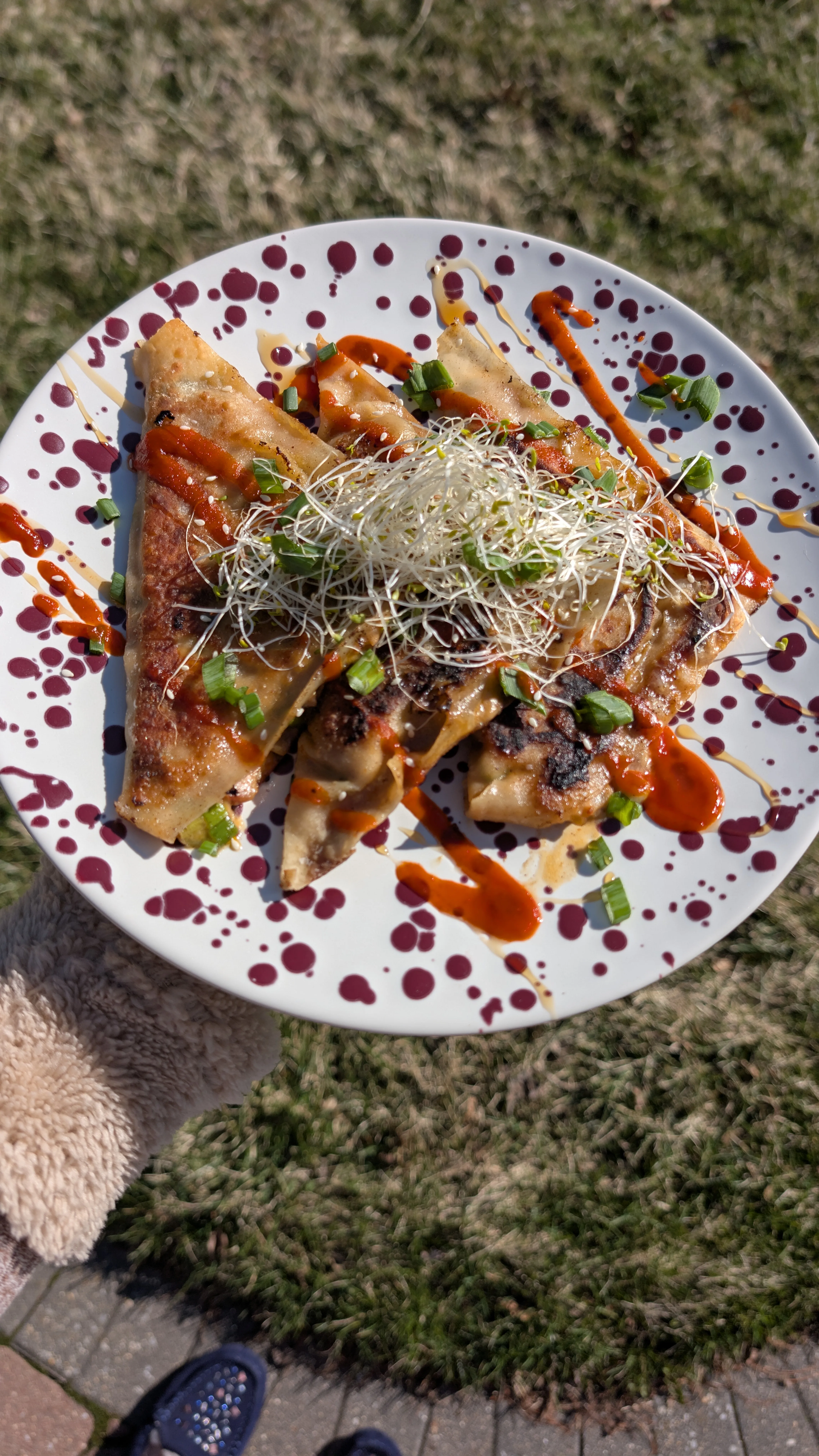 spicy-salmon-wonton-bites