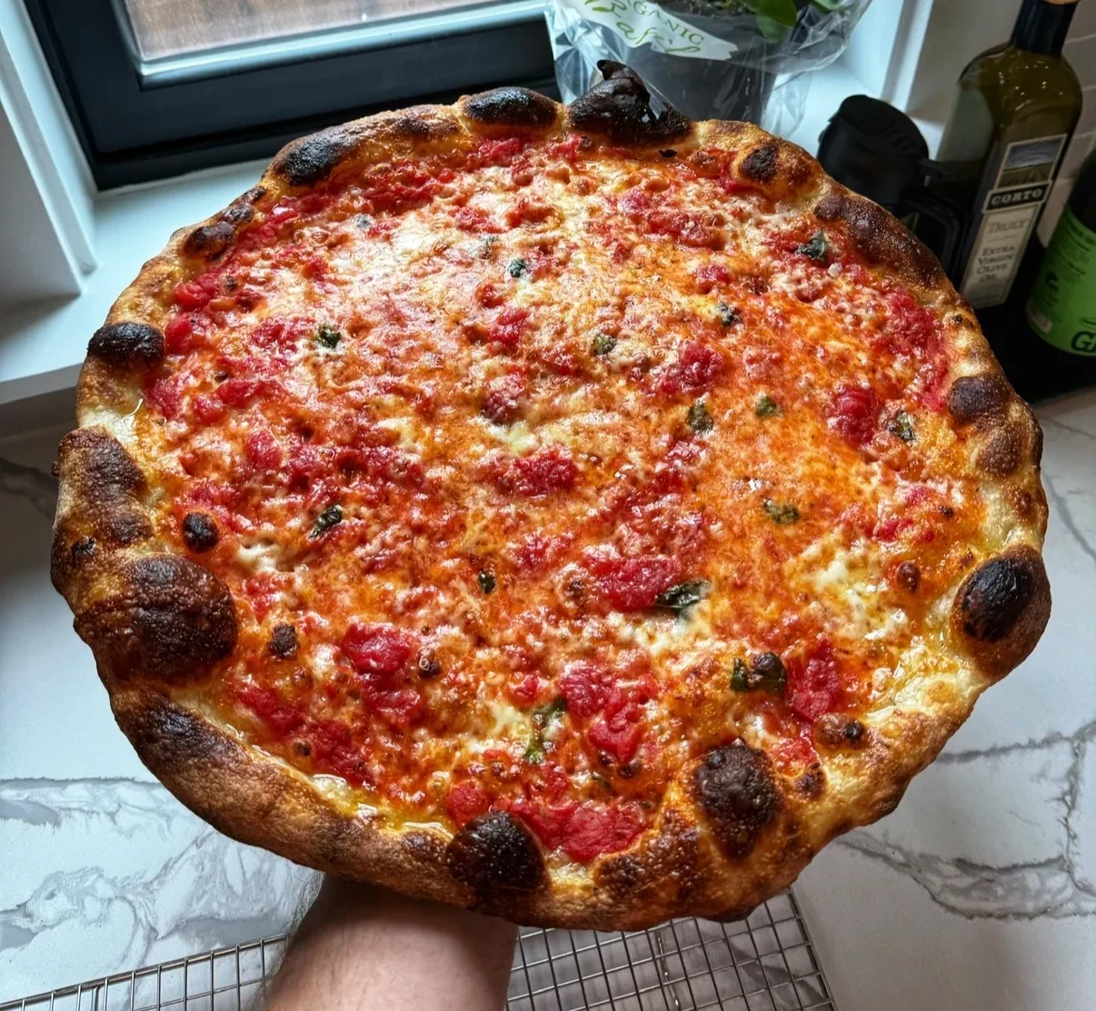 the-perfect-plain-cheese-pizza