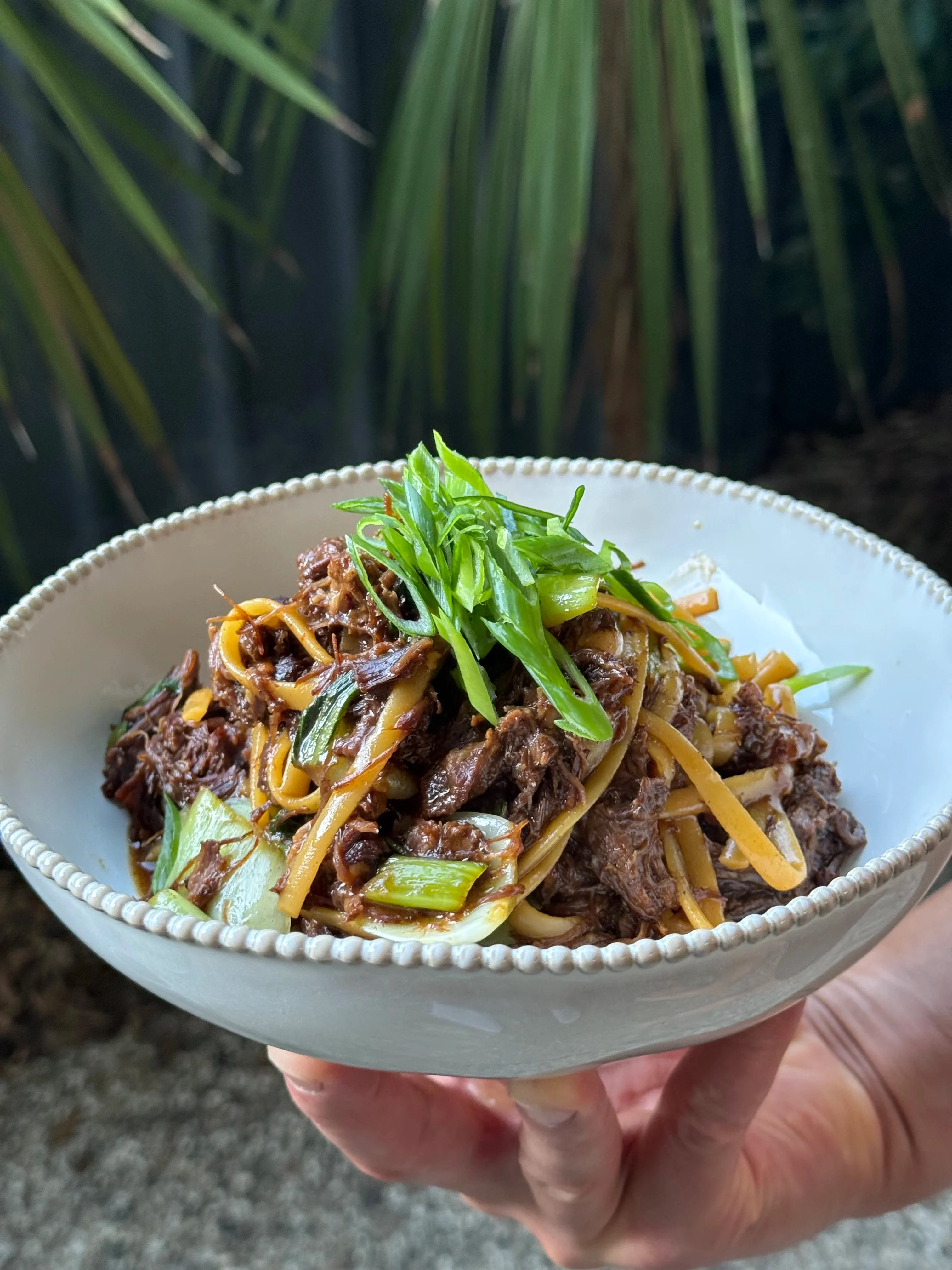 soy-beef-noodles