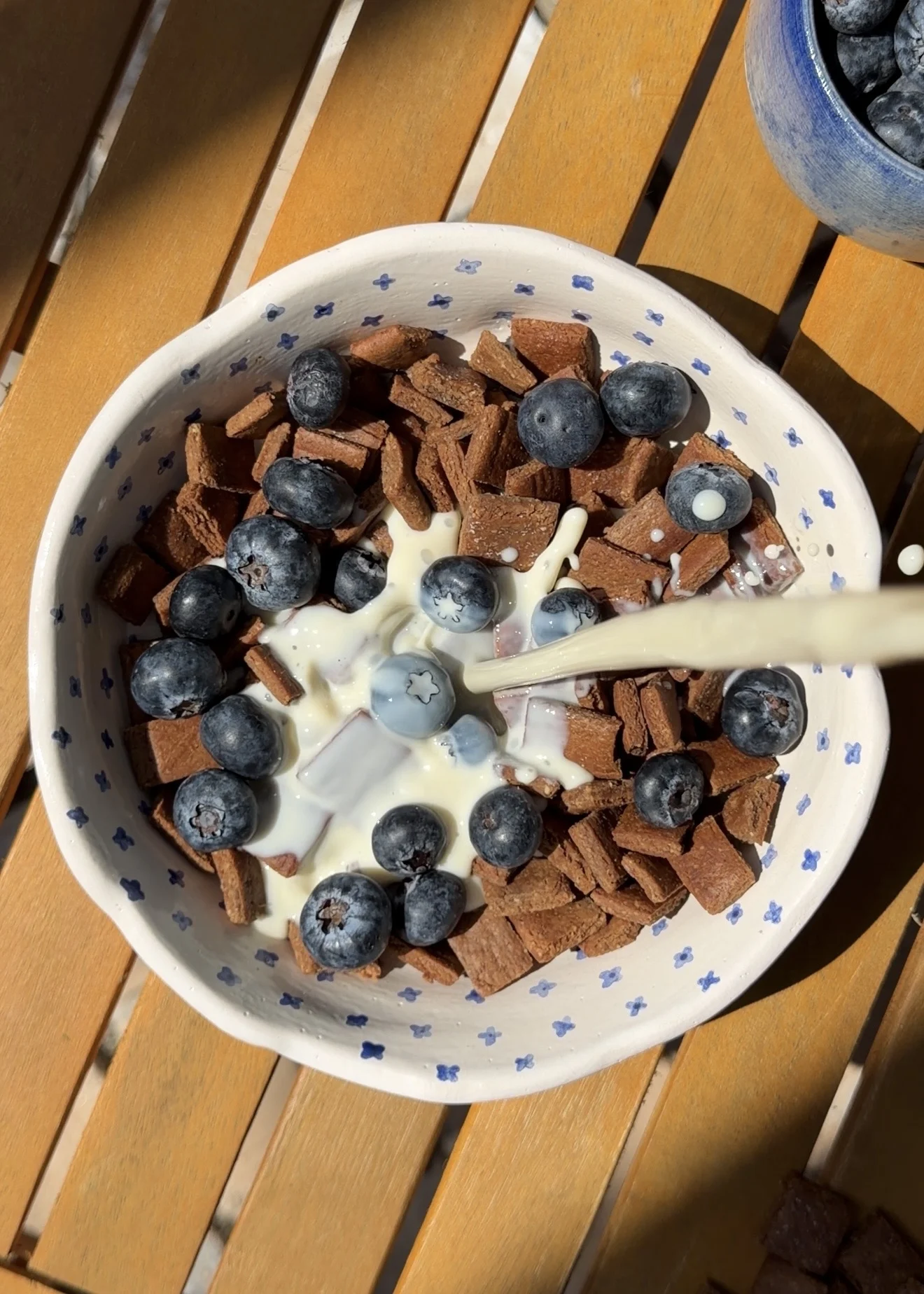 chocolate-protein-crunch-cereal