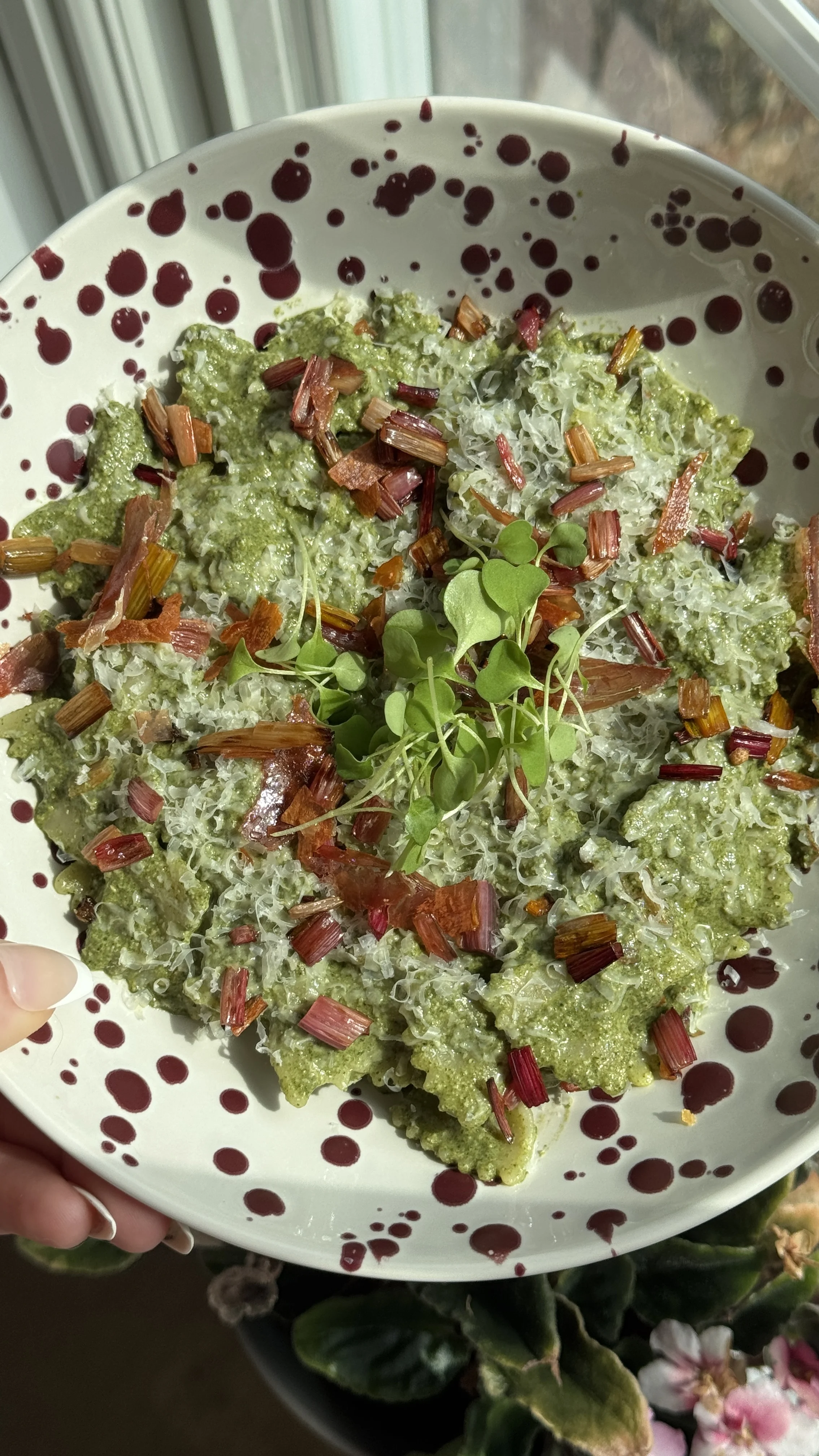 one-vegetable-swiss-chard-pasta