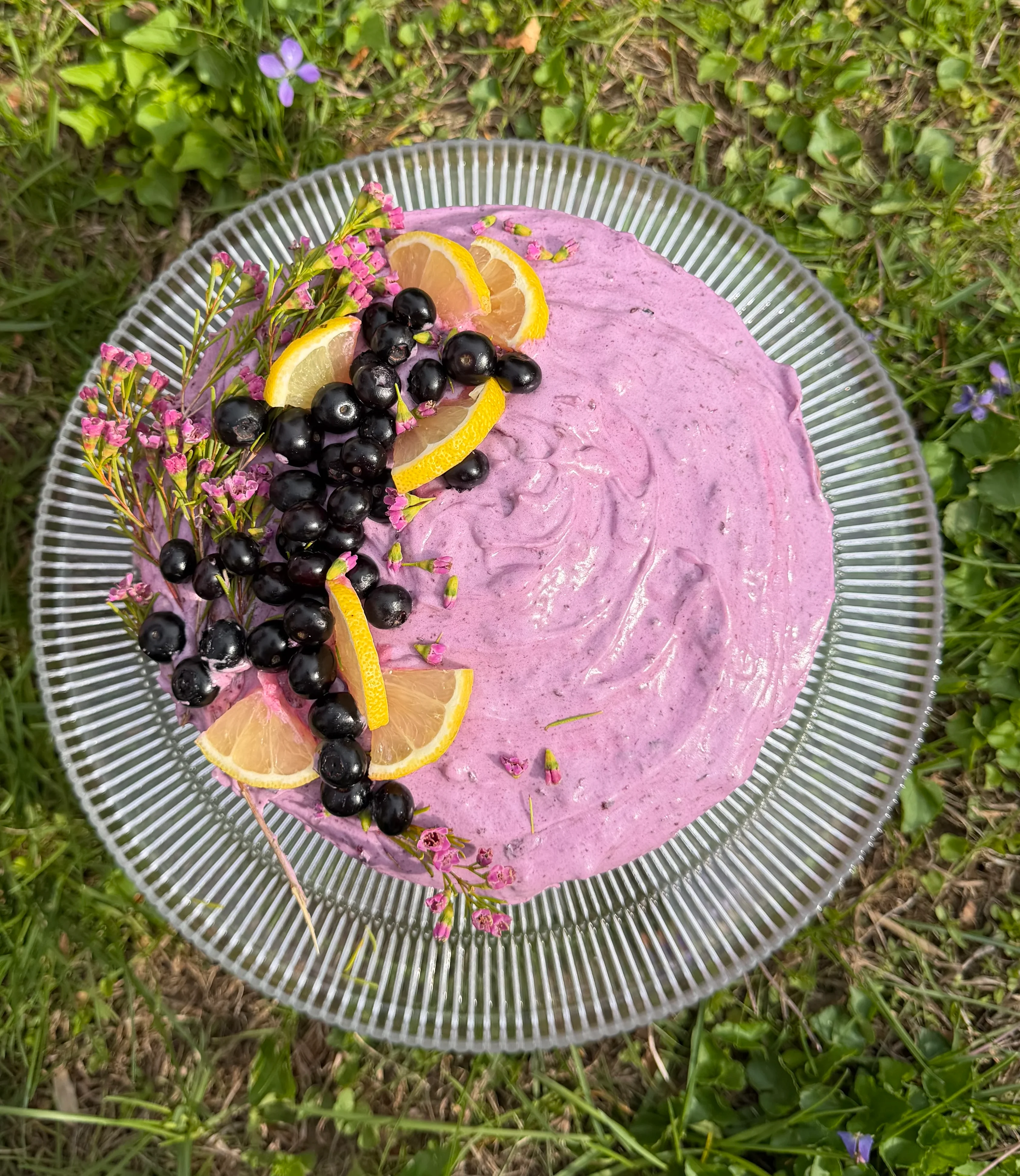 lemon-blueberry-olive-oil-cake recipe