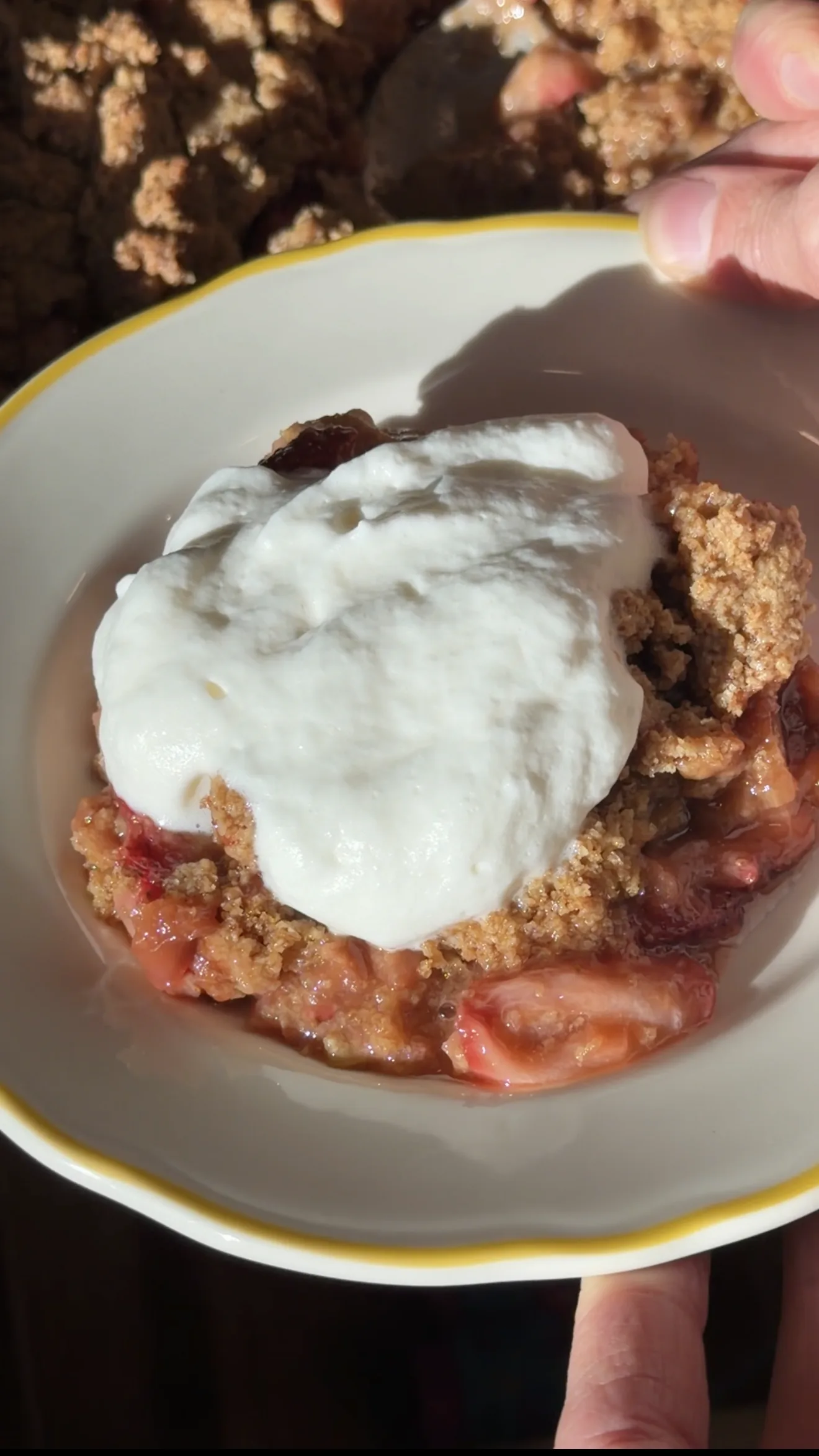 easy-strawberry-rhubarb-crumble