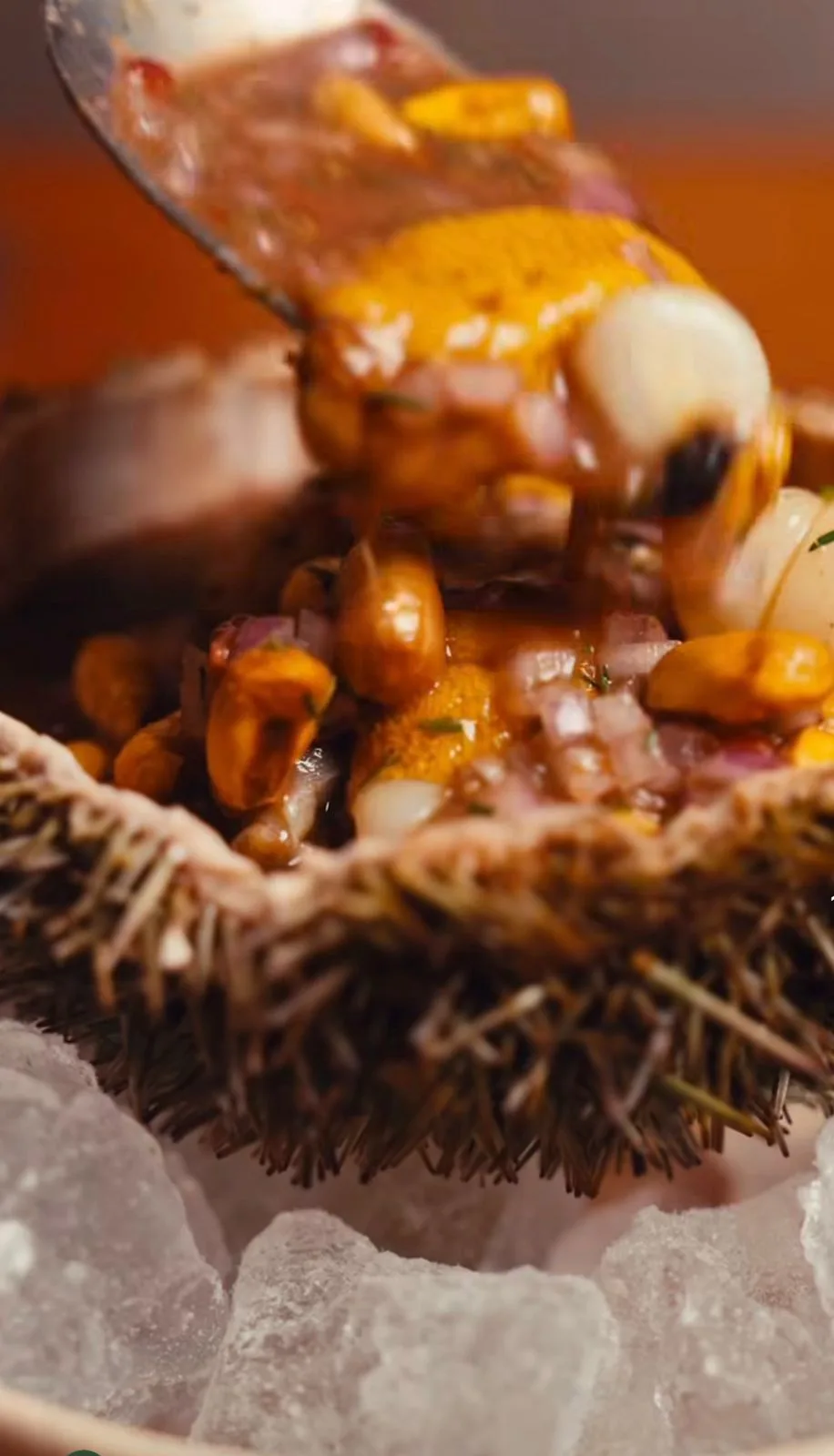 ceviche-power-de-conchas-negras-ostras-y-erizo-black-shell-oyster-and-sea-urchin-ceviche-power